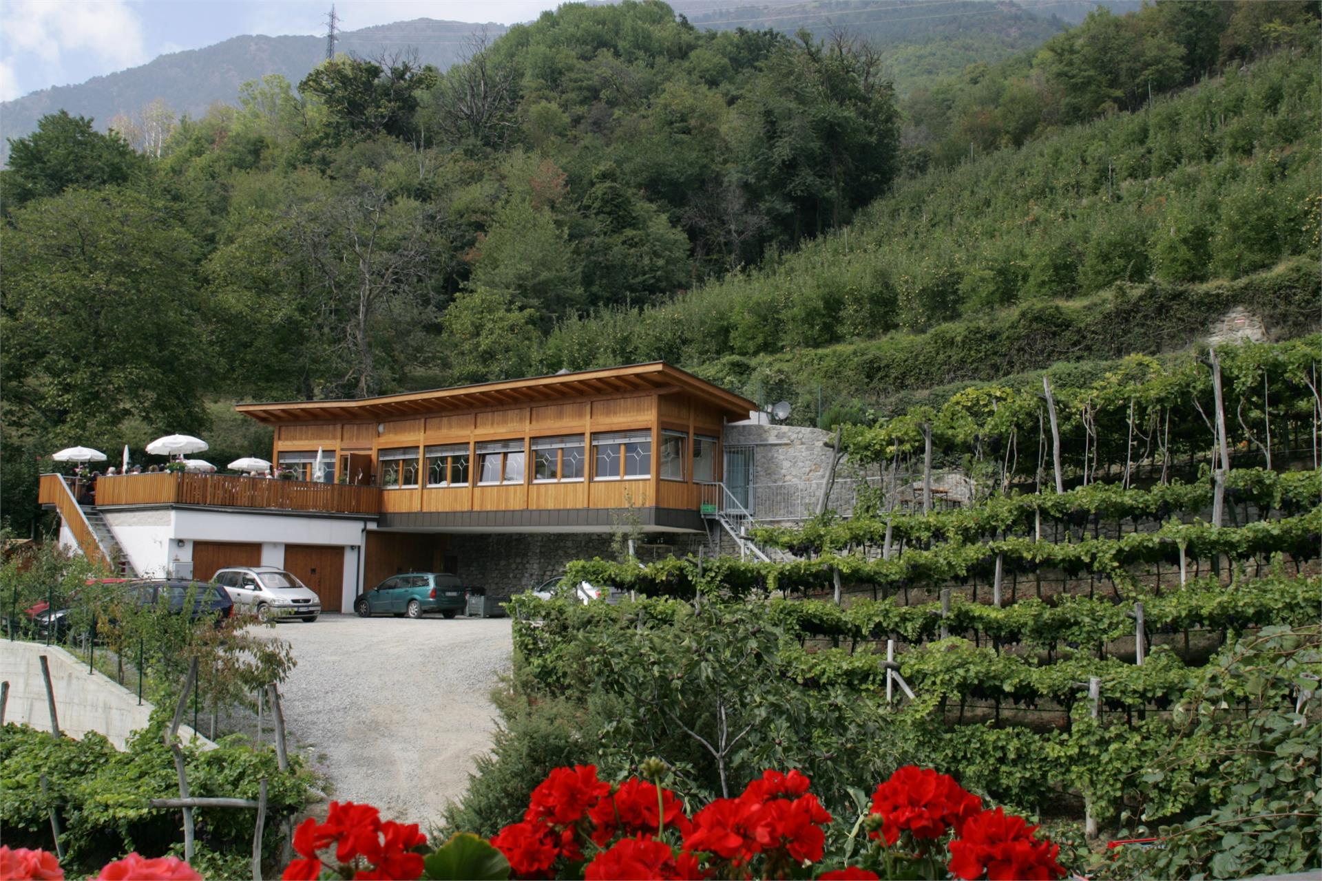 Restaurant Weinberghof Naturns 4 suedtirol.info