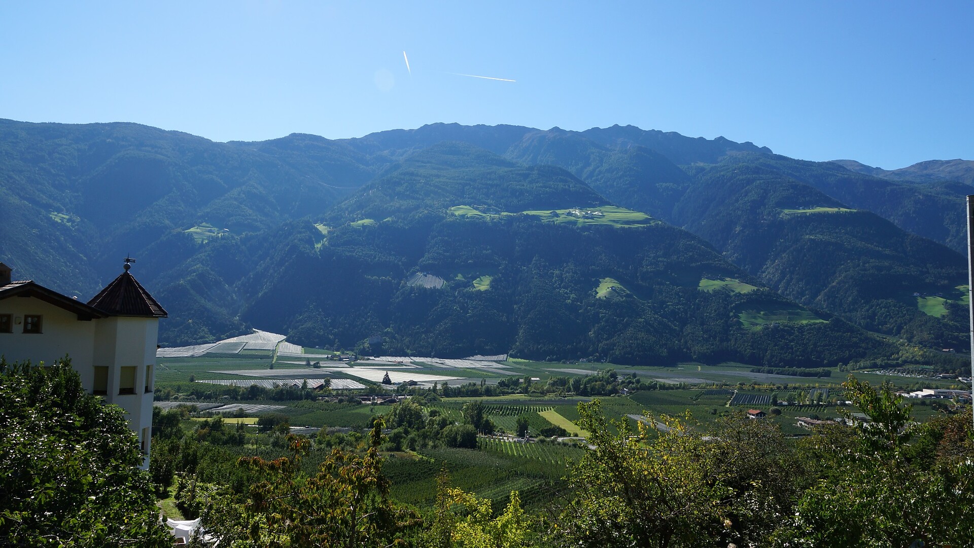 Panorama