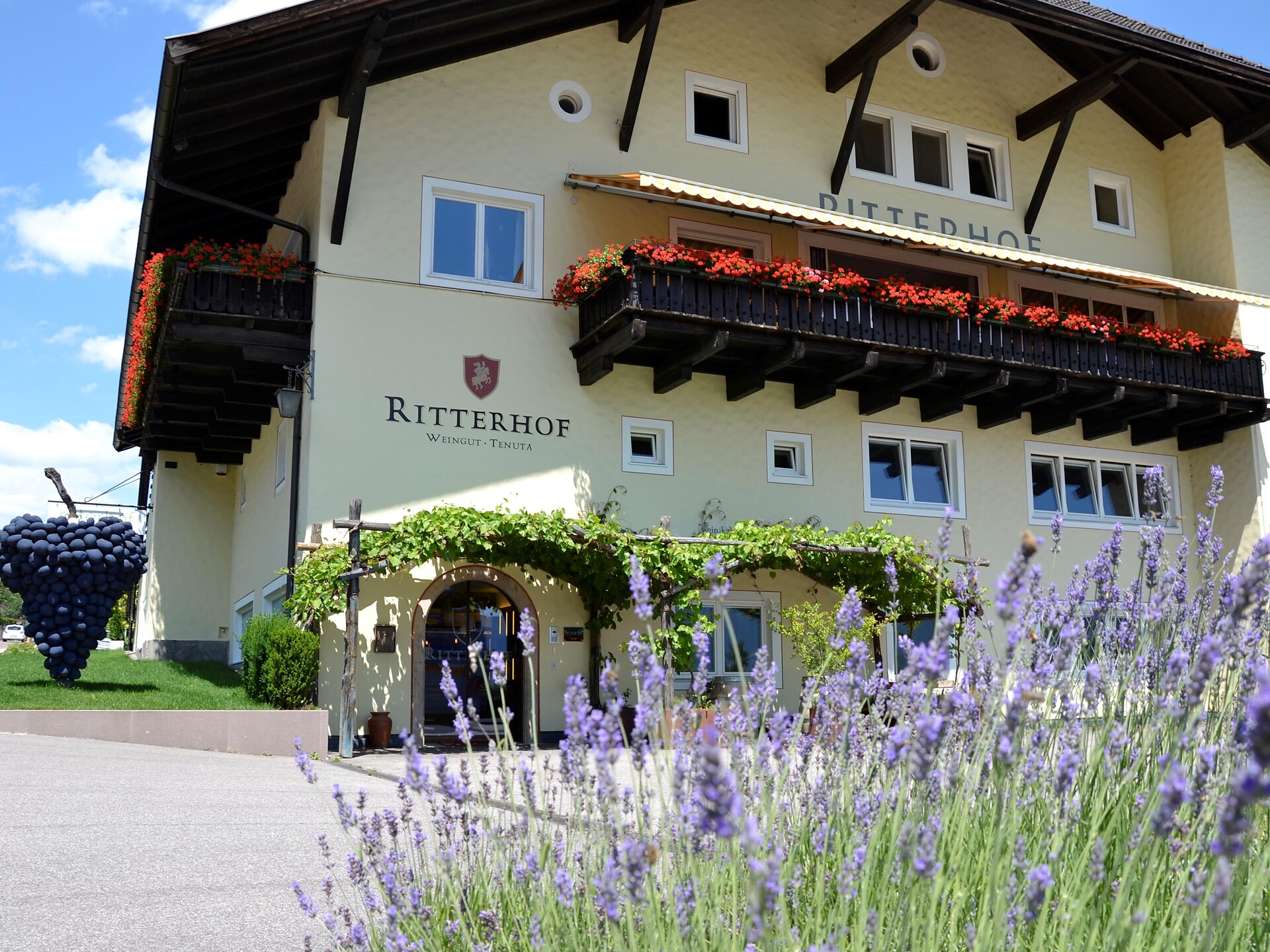 Ritterhof Weingut