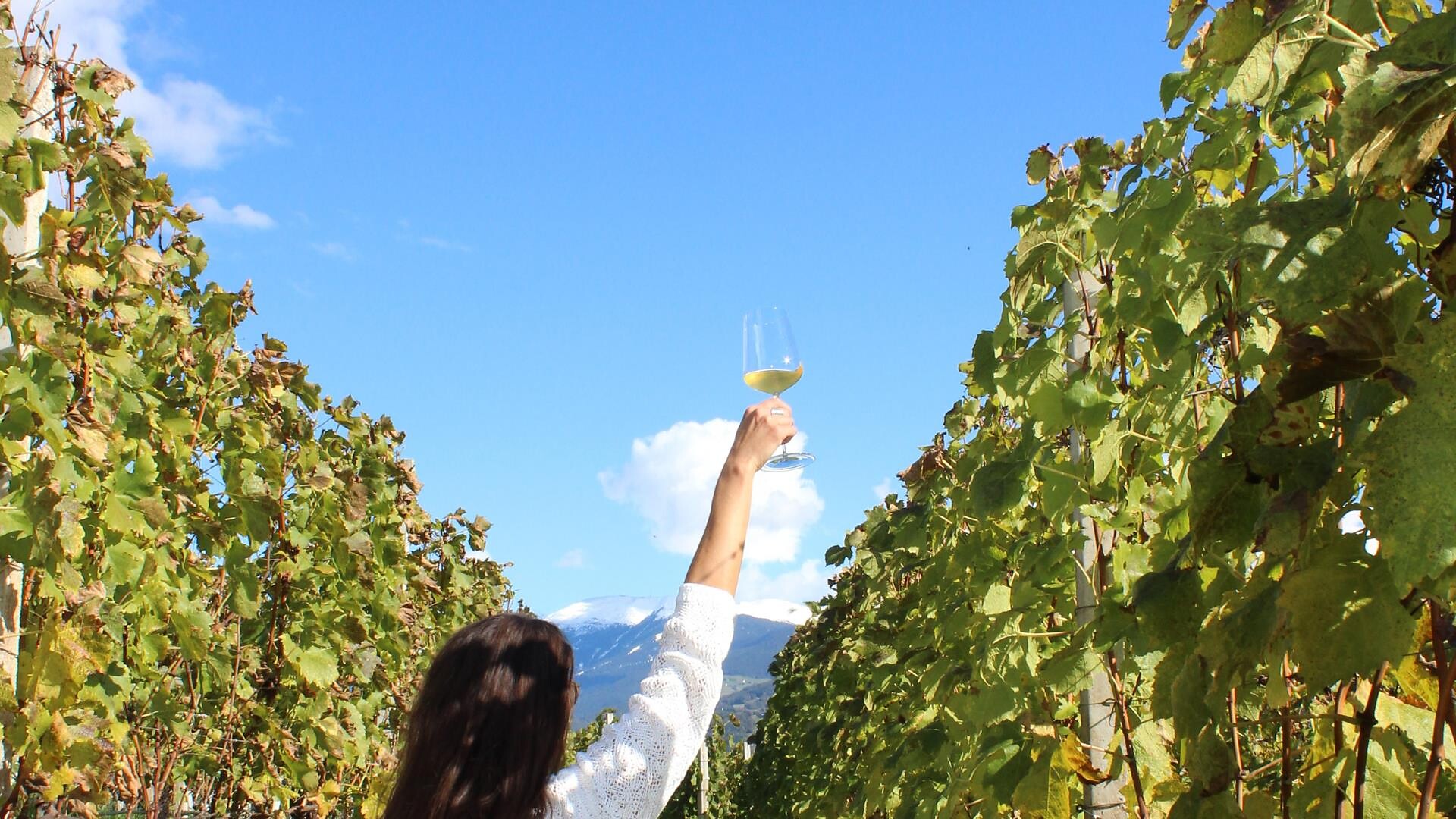 In the vineyard