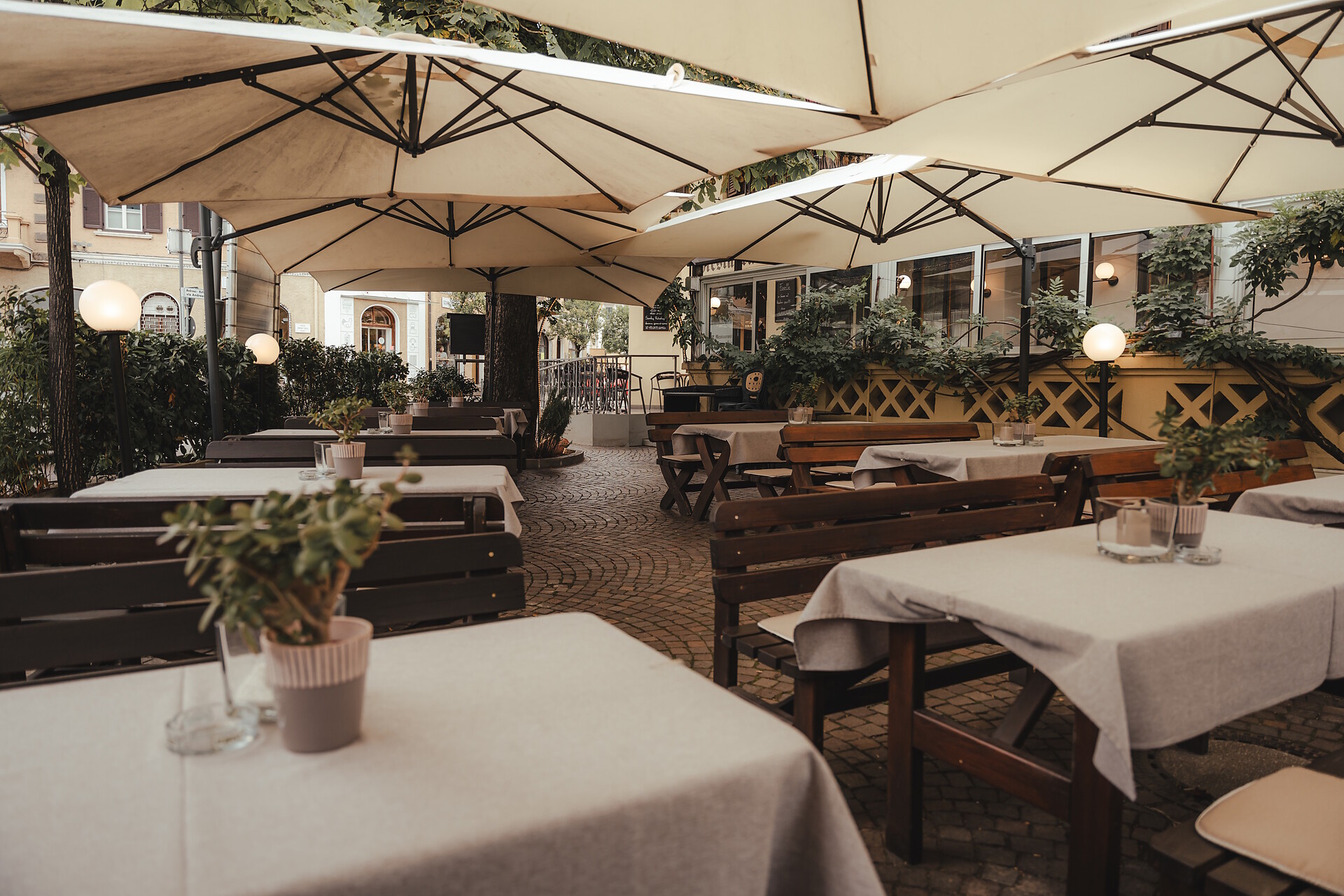 Restaurant Traube