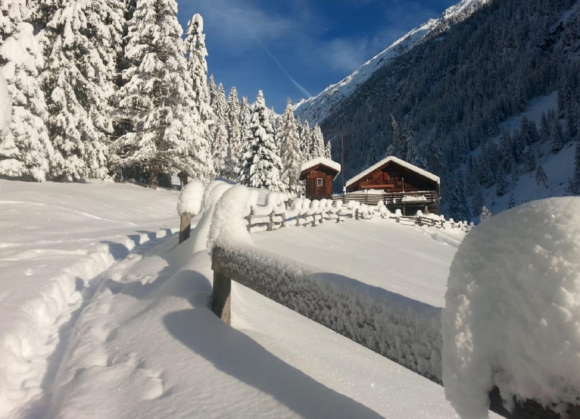 Riesa Alm herb hut Ahrntal/Valle Aurina 4 suedtirol.info