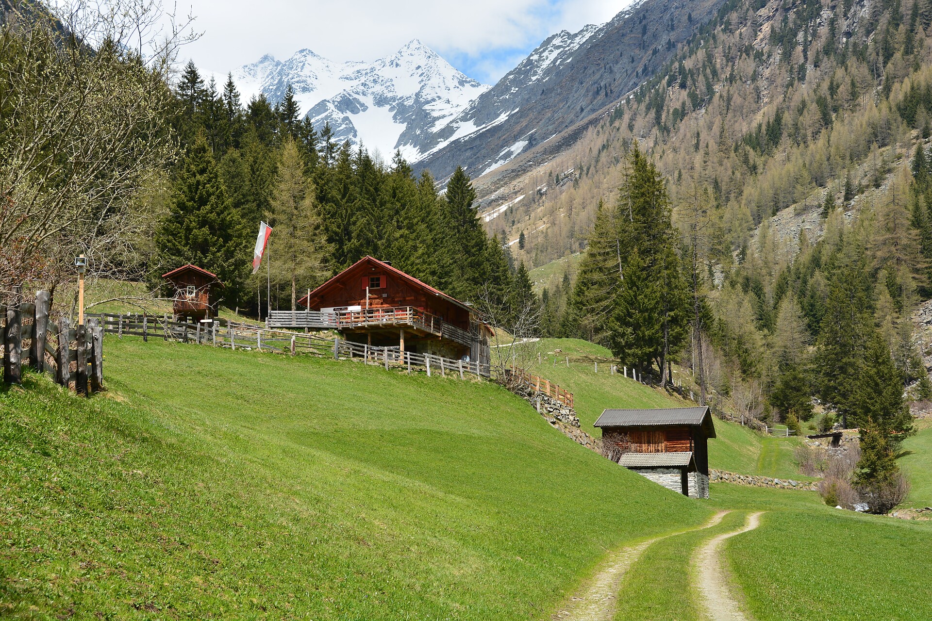 Riesa Alm