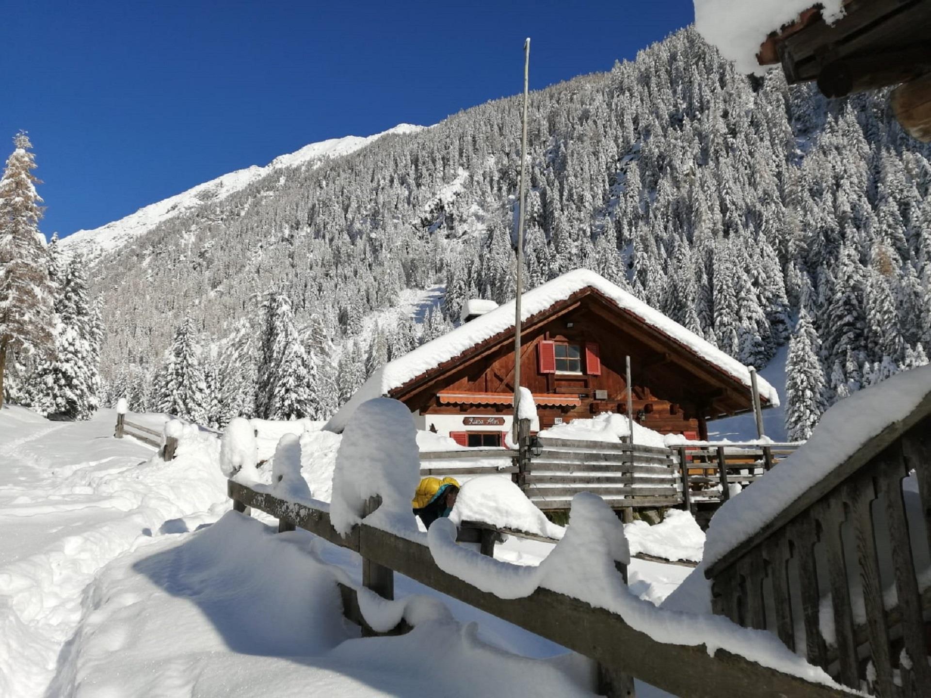 Riesa Alm herb hut Ahrntal/Valle Aurina 1 suedtirol.info