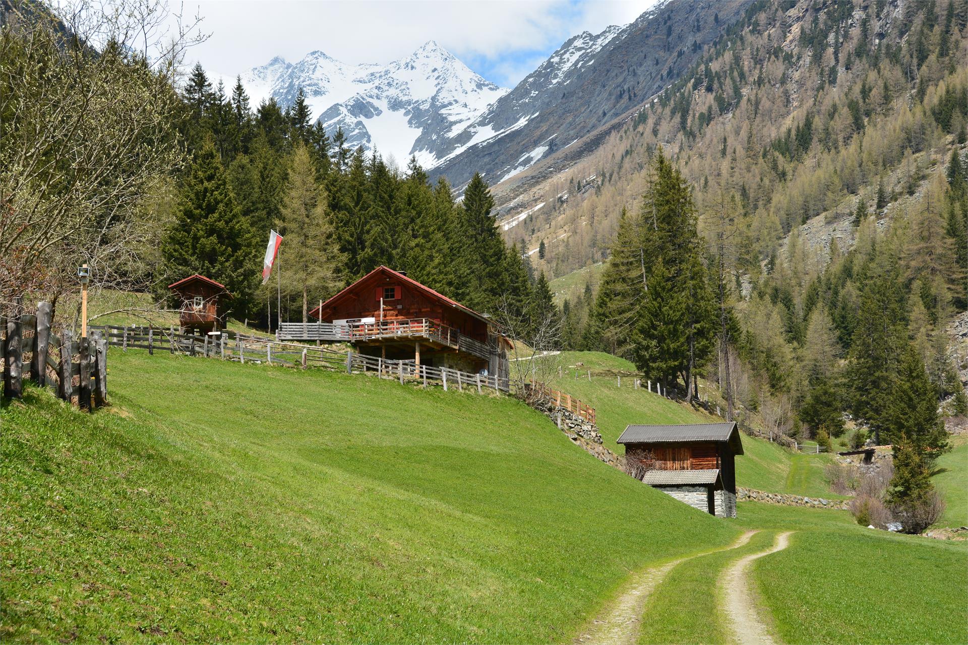 Riesa Alm herb hut Ahrntal/Valle Aurina 8 suedtirol.info