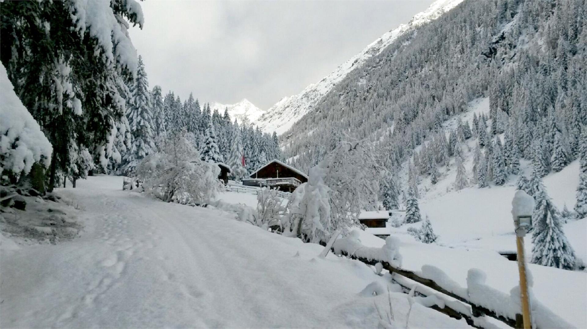 Riesa Alm herb hut Ahrntal/Valle Aurina 6 suedtirol.info