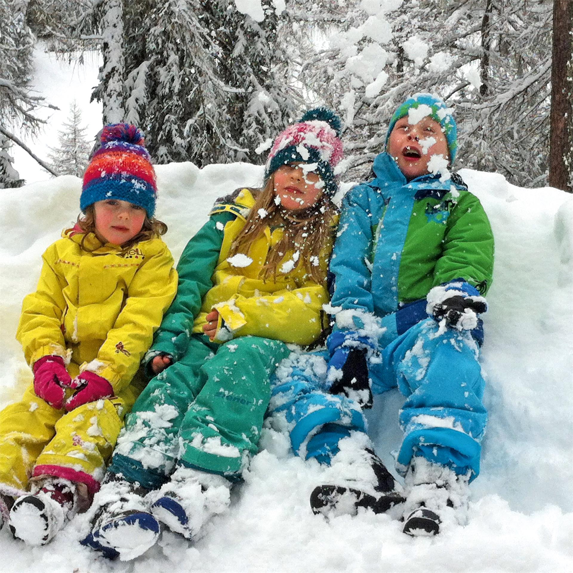 Riesa Alm herb hut Ahrntal/Valle Aurina 5 suedtirol.info