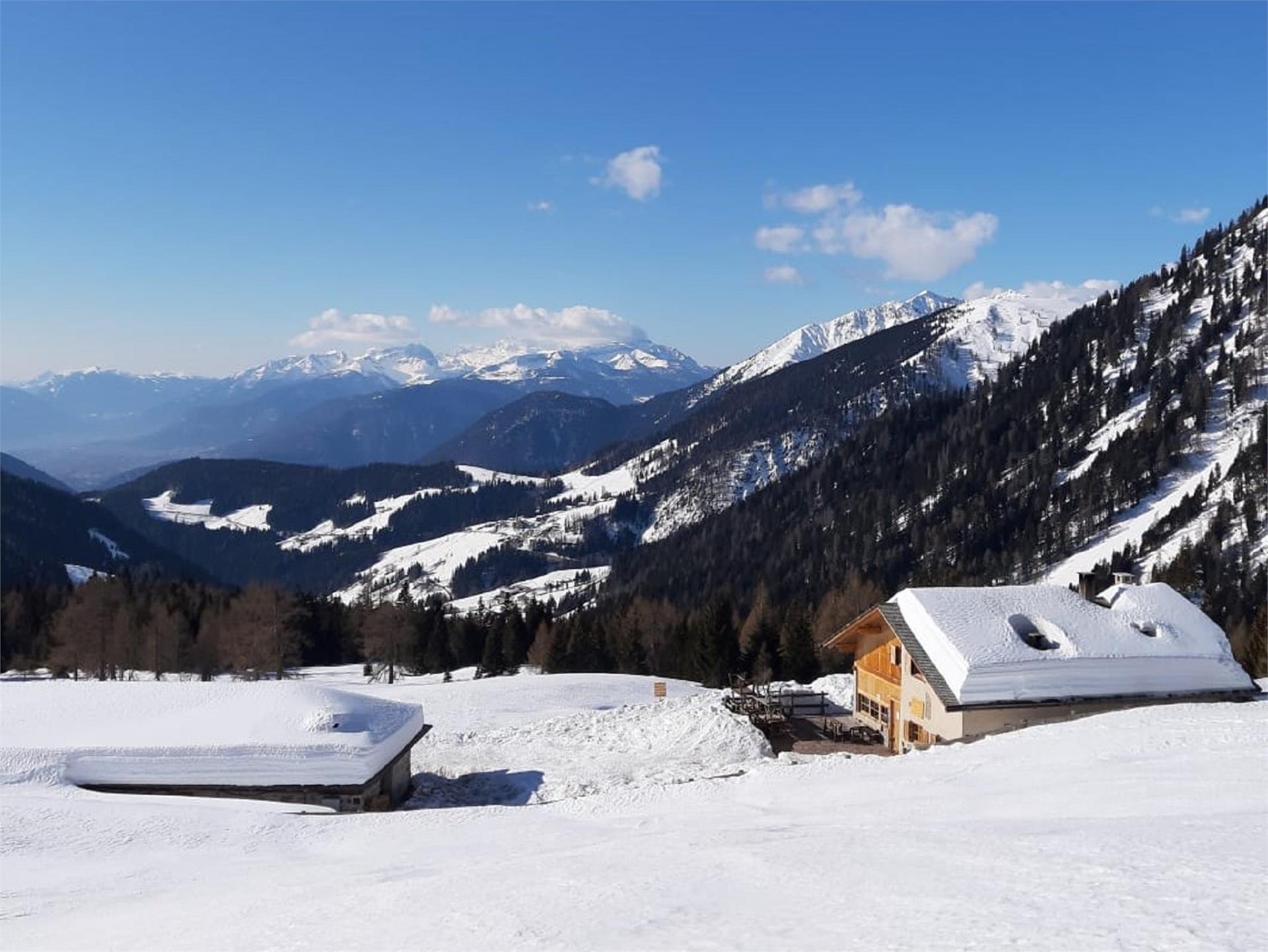 Revó Alm Proveis/Proves 1 suedtirol.info