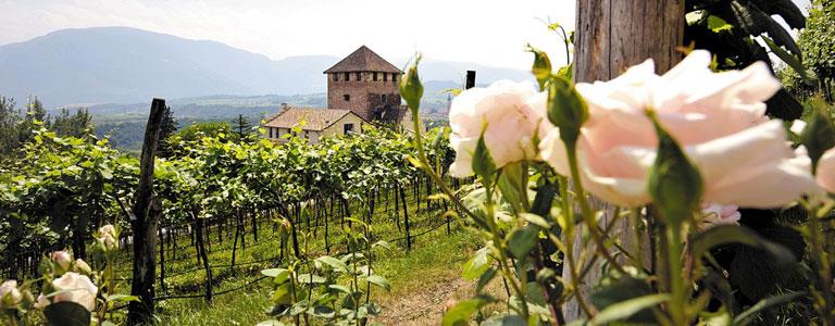 Schlosskellerei des Fritz Dellago Eppan an der Weinstraße 1 suedtirol.info