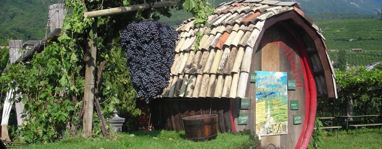 SPIEGEL- HOF Caldaro sulla Strada del Vino 1 suedtirol.info