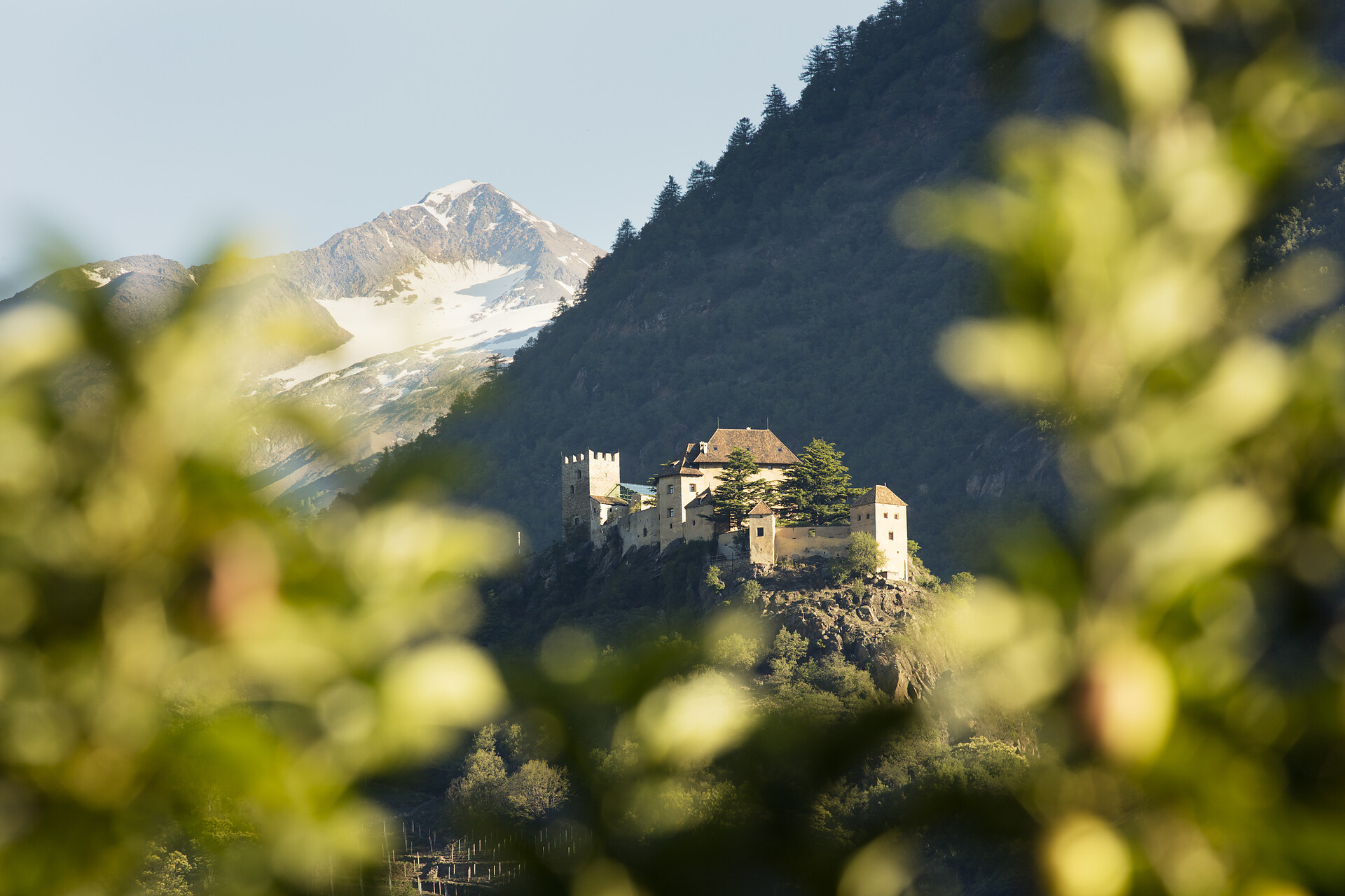 Schloss Juval