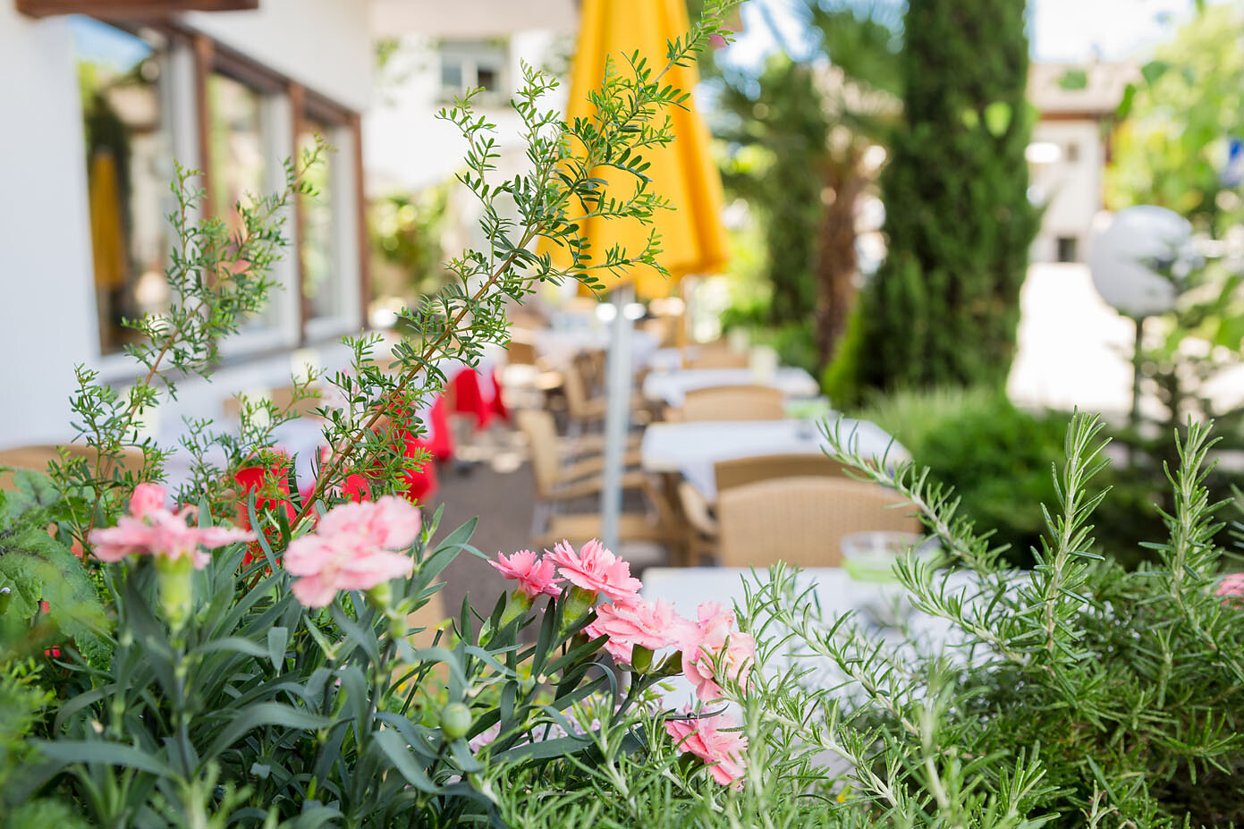 Giardino Ristorante