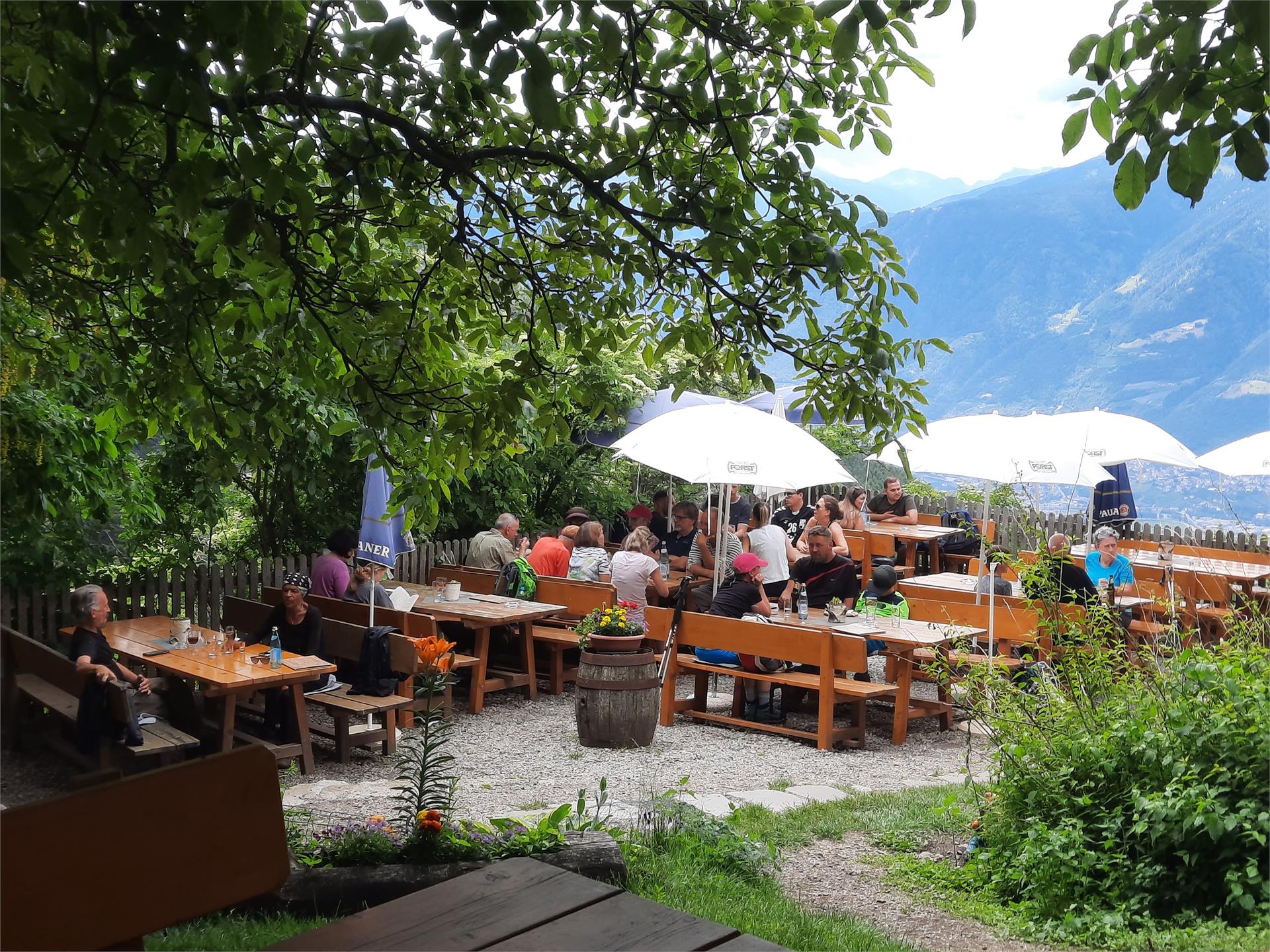 Schnugger - Gasthaus Schenna 3 suedtirol.info