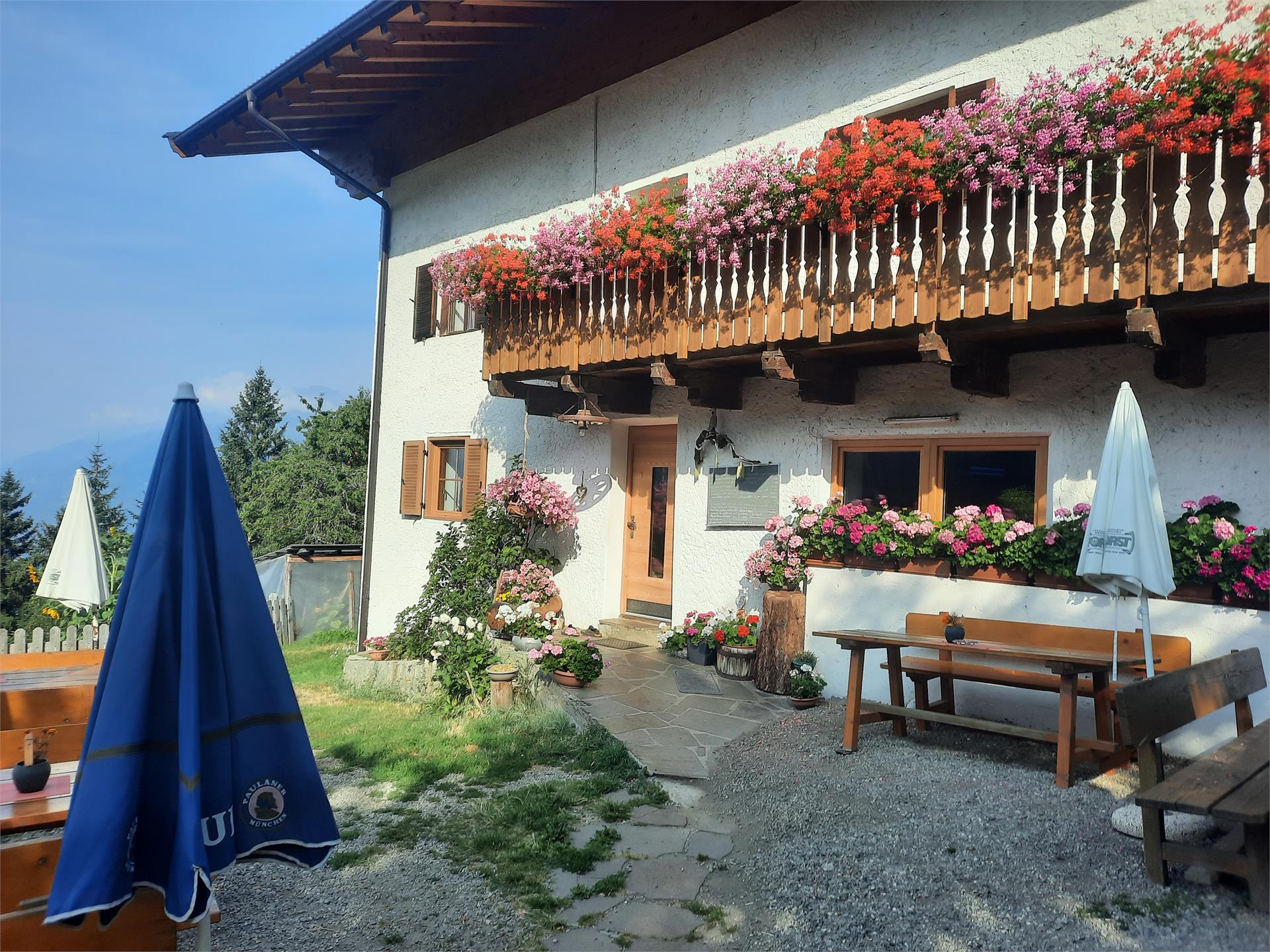 Schnugger - Gasthaus Schenna 2 suedtirol.info