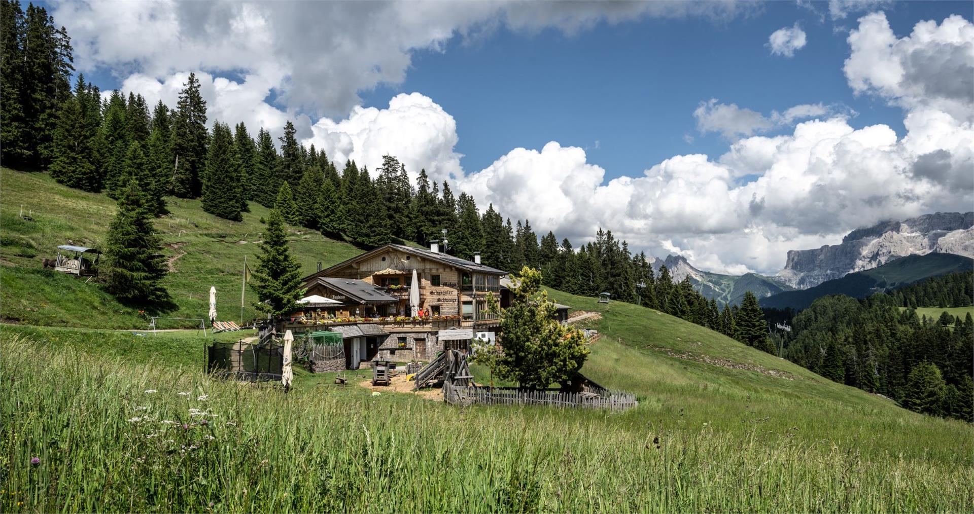 Schgaguler Schwaige Kastelruth 14 suedtirol.info