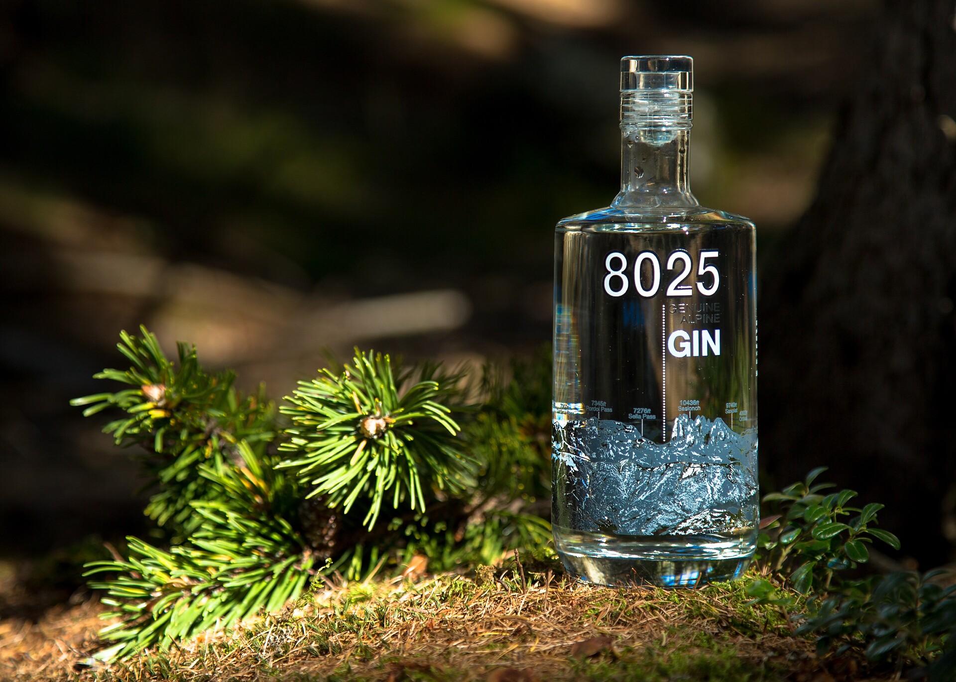 Gin 8025