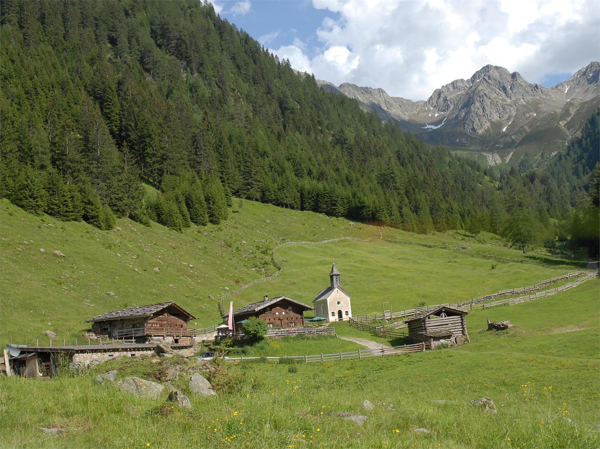 Malga S. Anna Pfistradalm San Leonardo in Passiria 1 suedtirol.info