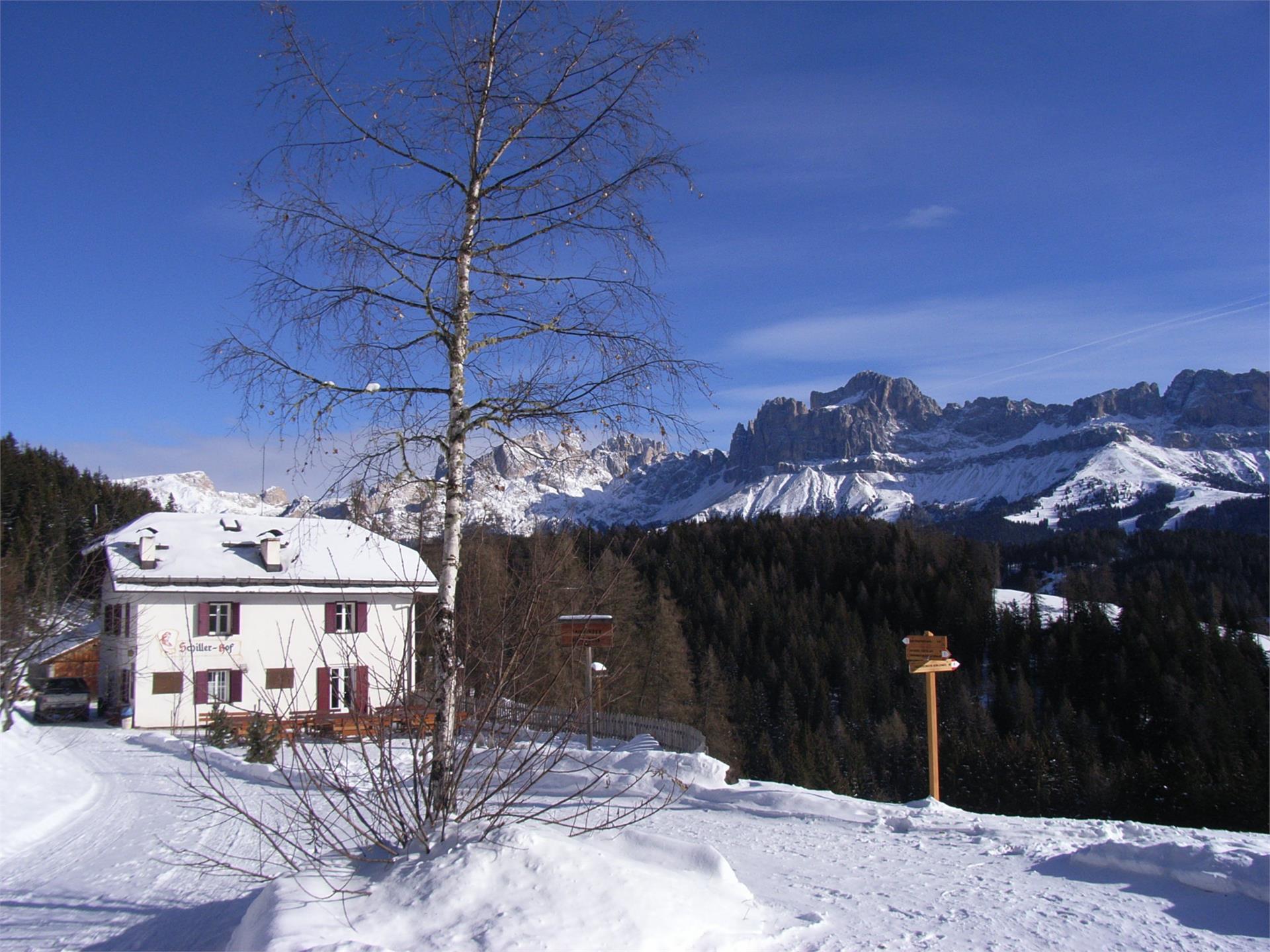 Maso Schillerhof Nova Levante 1 suedtirol.info