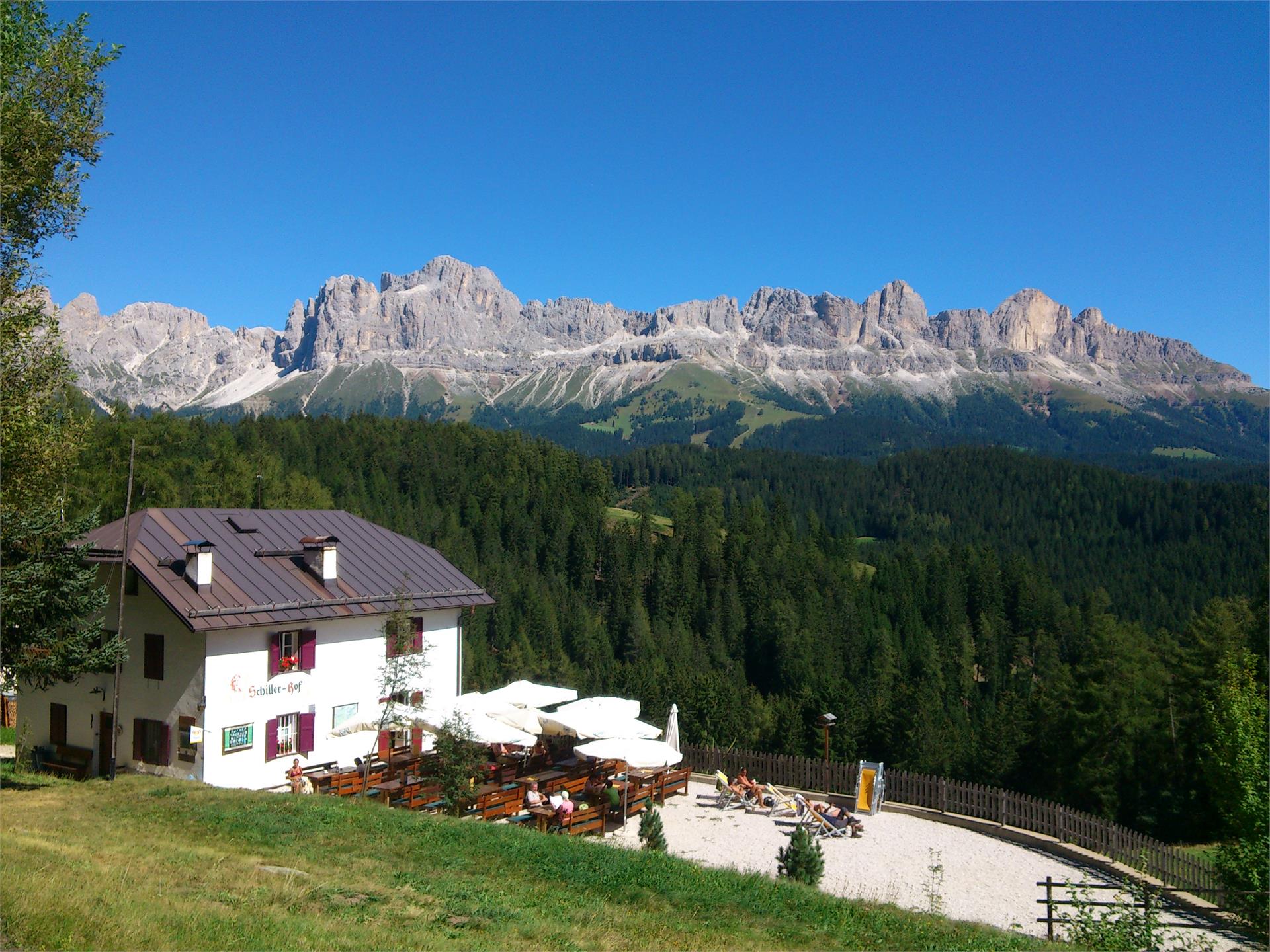 Maso Schillerhof Nova Levante 5 suedtirol.info