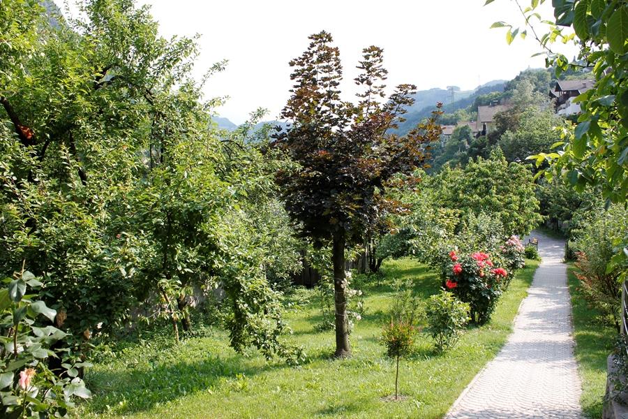 Schloß Friedburg Barbian/Barbiano 4 suedtirol.info