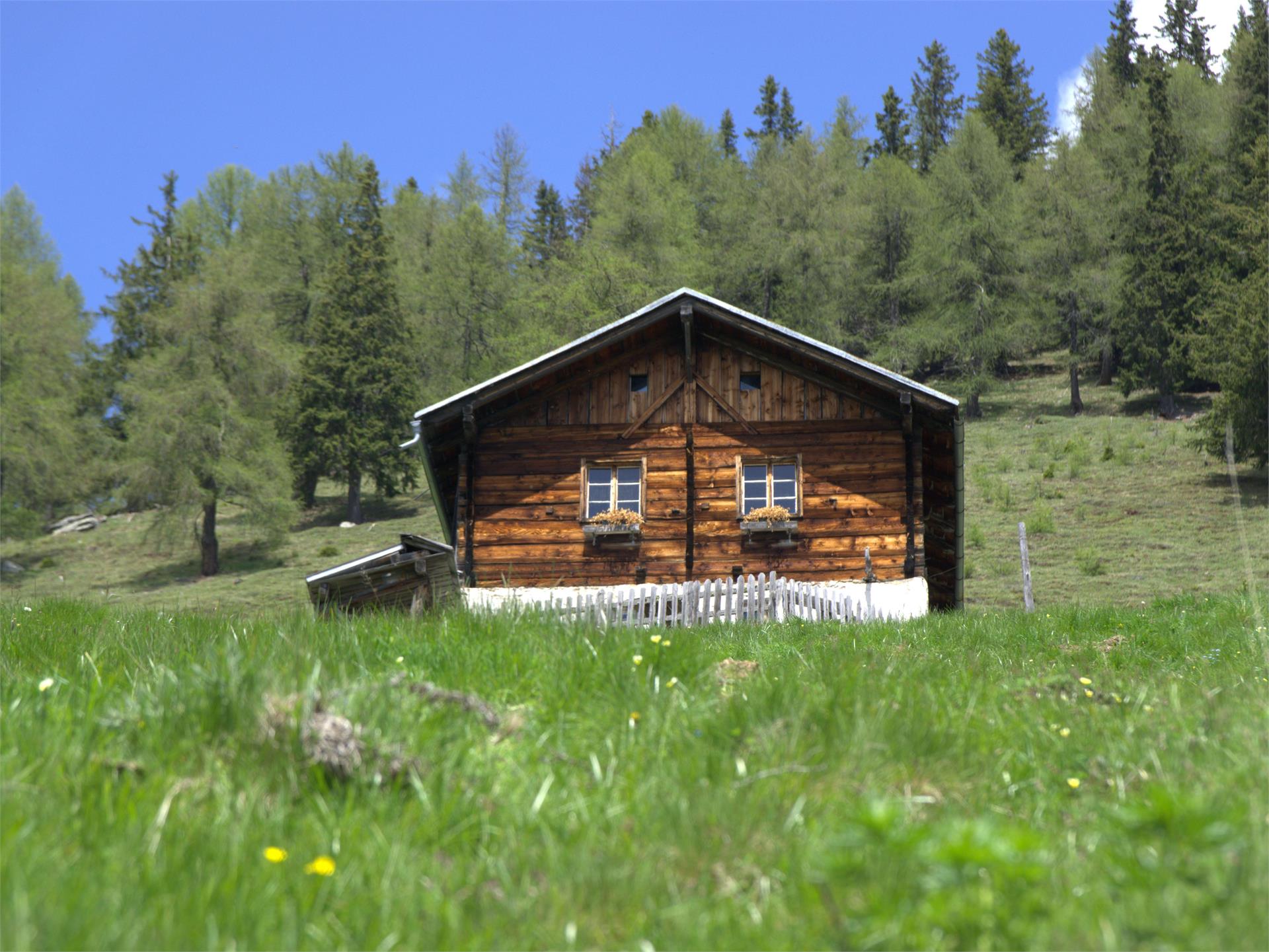 Stafler Alm St.Pankraz 1 suedtirol.info