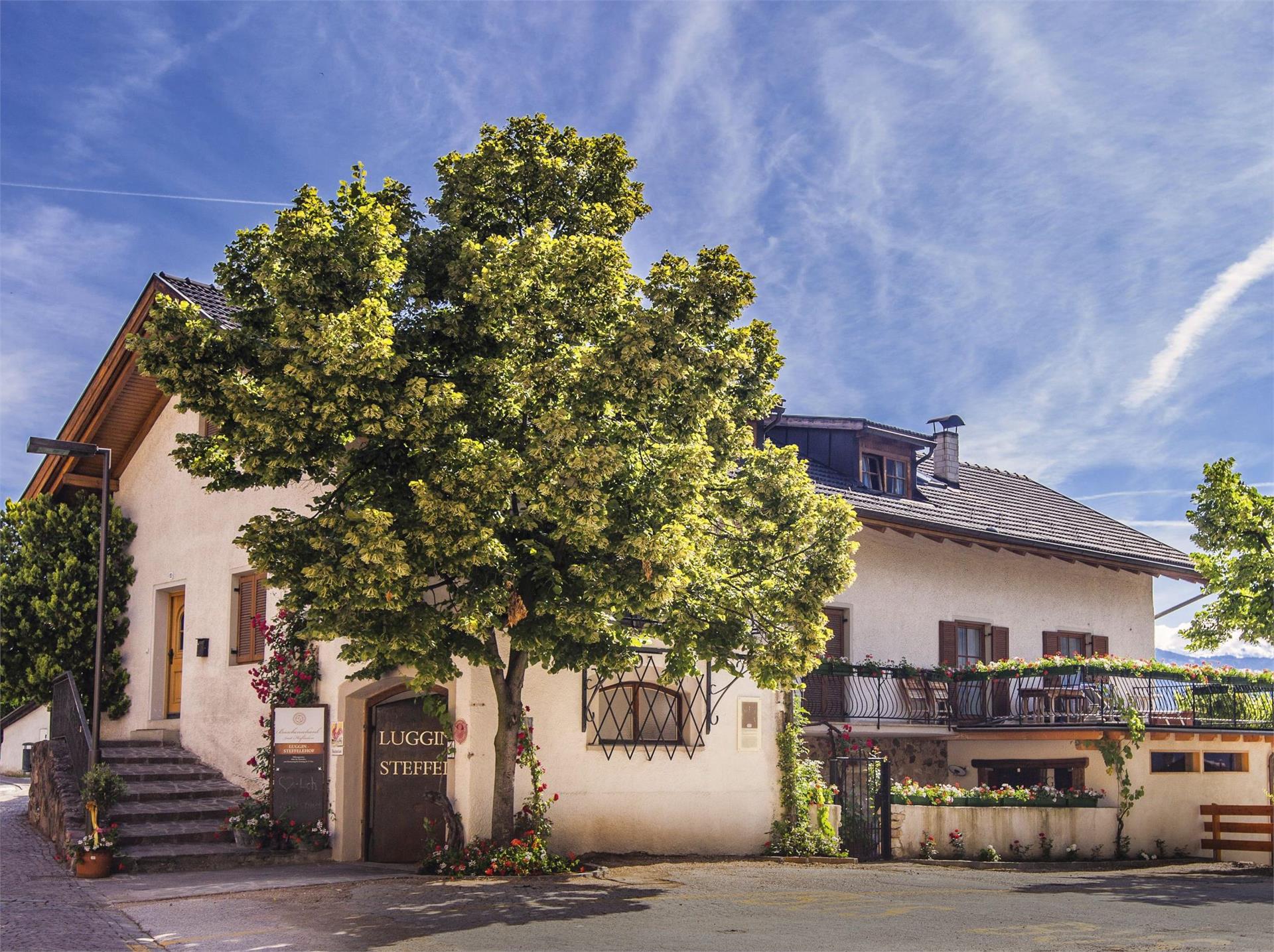 Steffelehof Kaltern an der Weinstraße/Caldaro sulla Strada del Vino 1 suedtirol.info