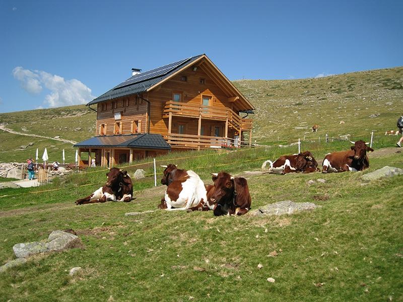 Utia de Resciesa Urtijëi/Ortisei 1 suedtirol.info