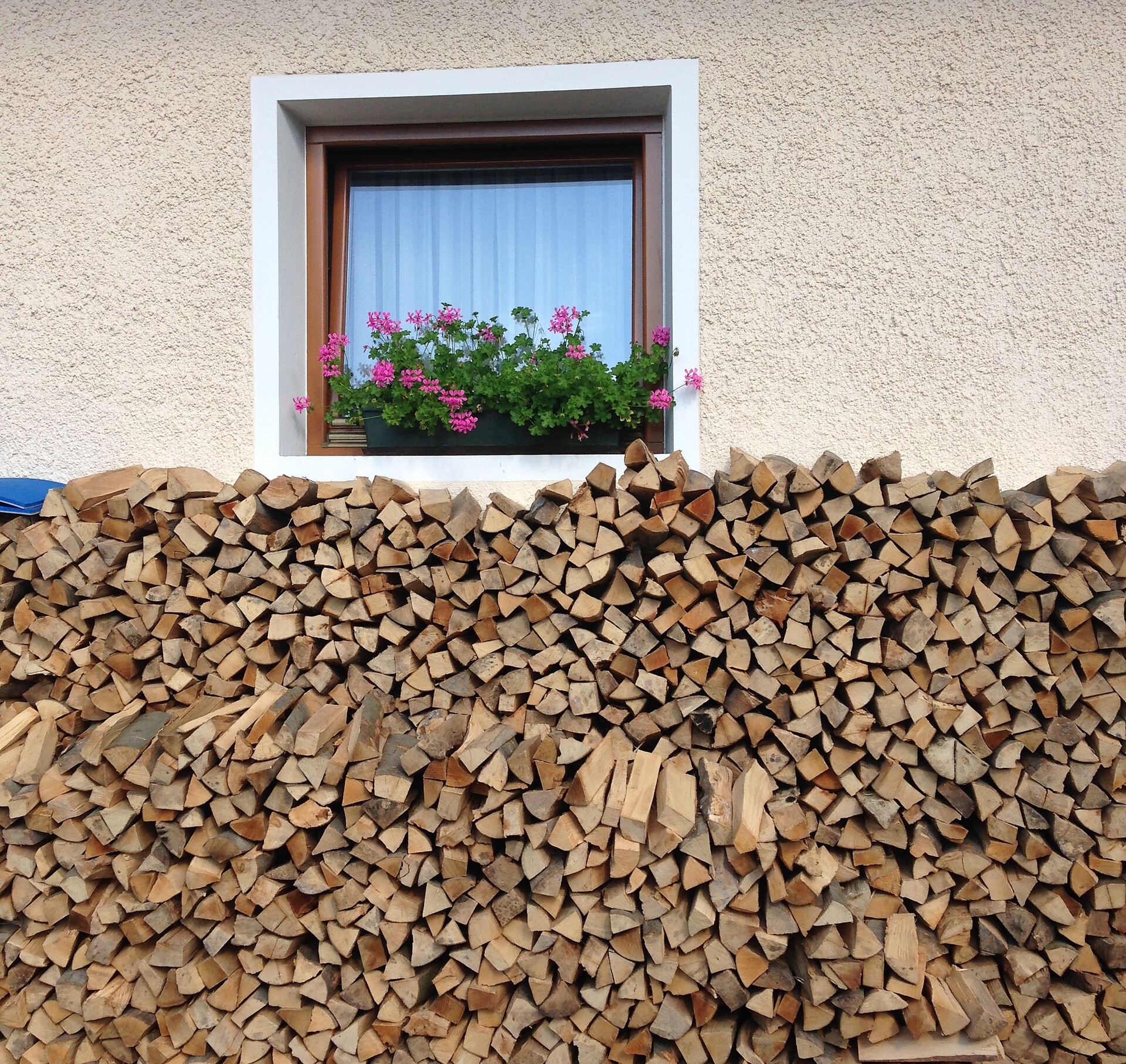 Wood for the pizzaoven