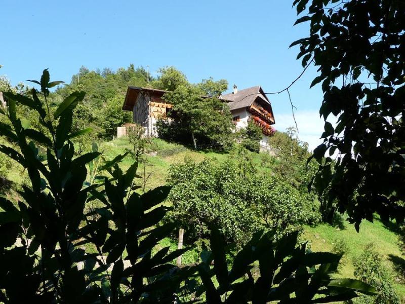 Steinmannhof Ritten 1 suedtirol.info