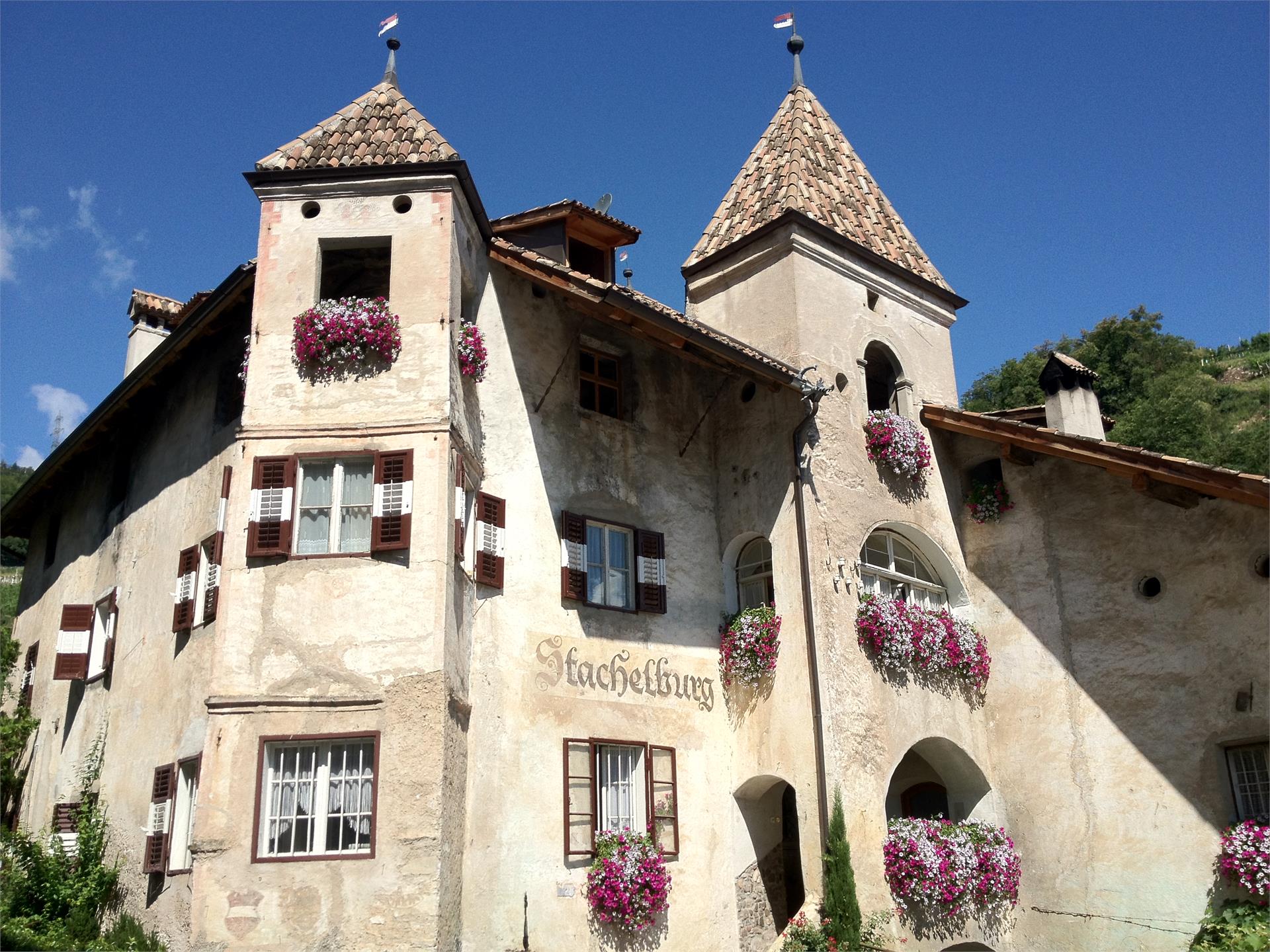 Stachelburgkeller Nals 2 suedtirol.info