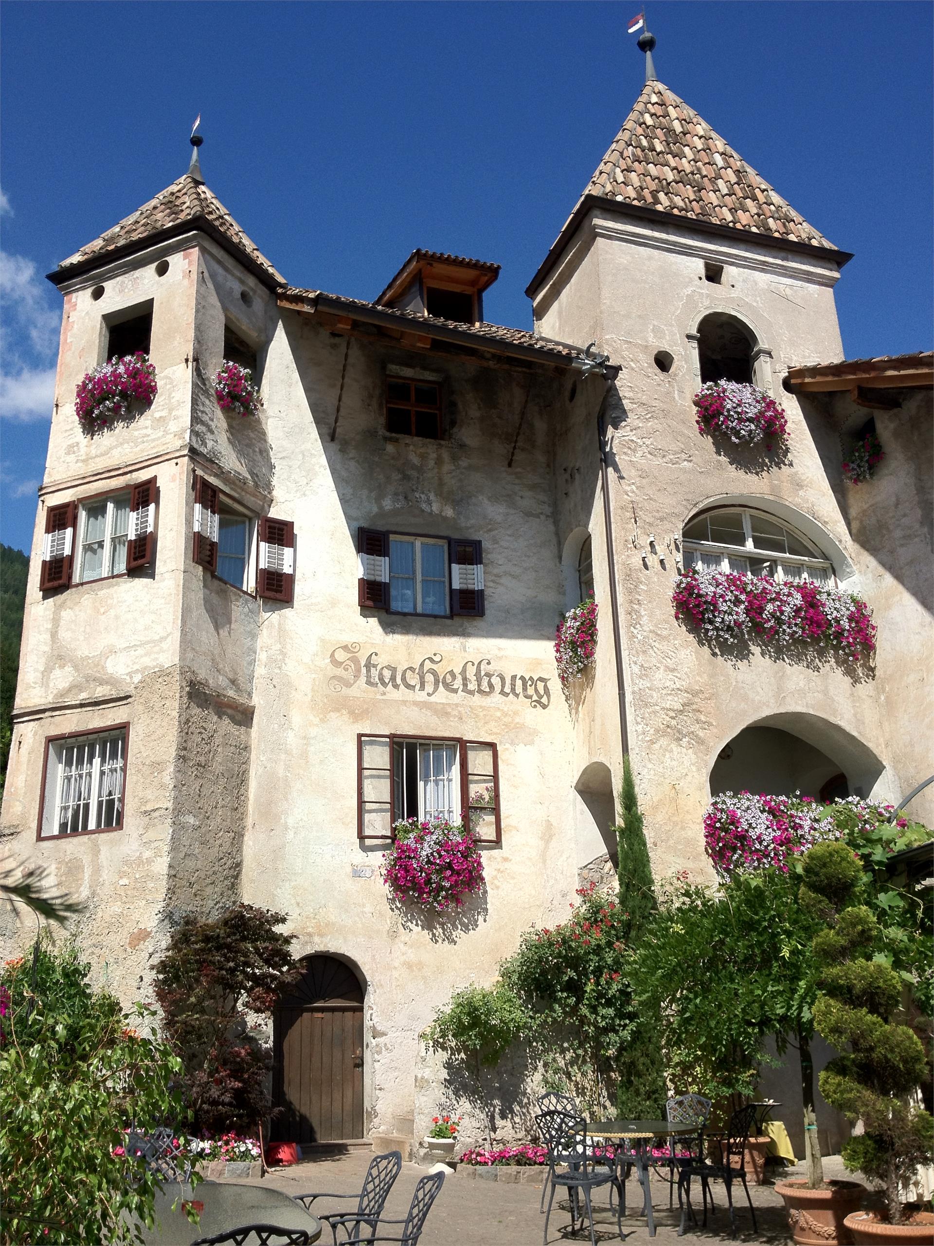 Stachelburgkeller Nals 1 suedtirol.info