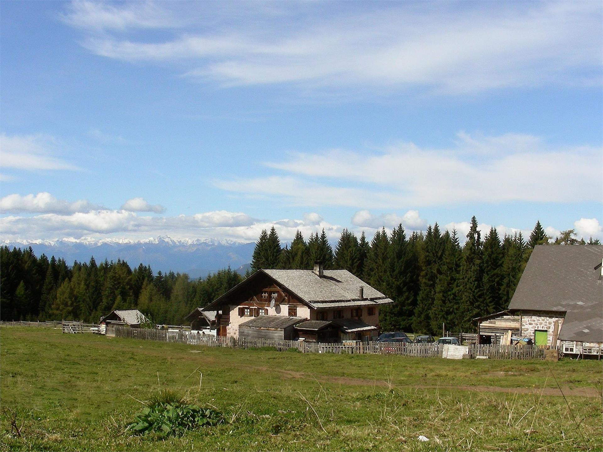 Schönrastalm Aldein/Aldino 2 suedtirol.info
