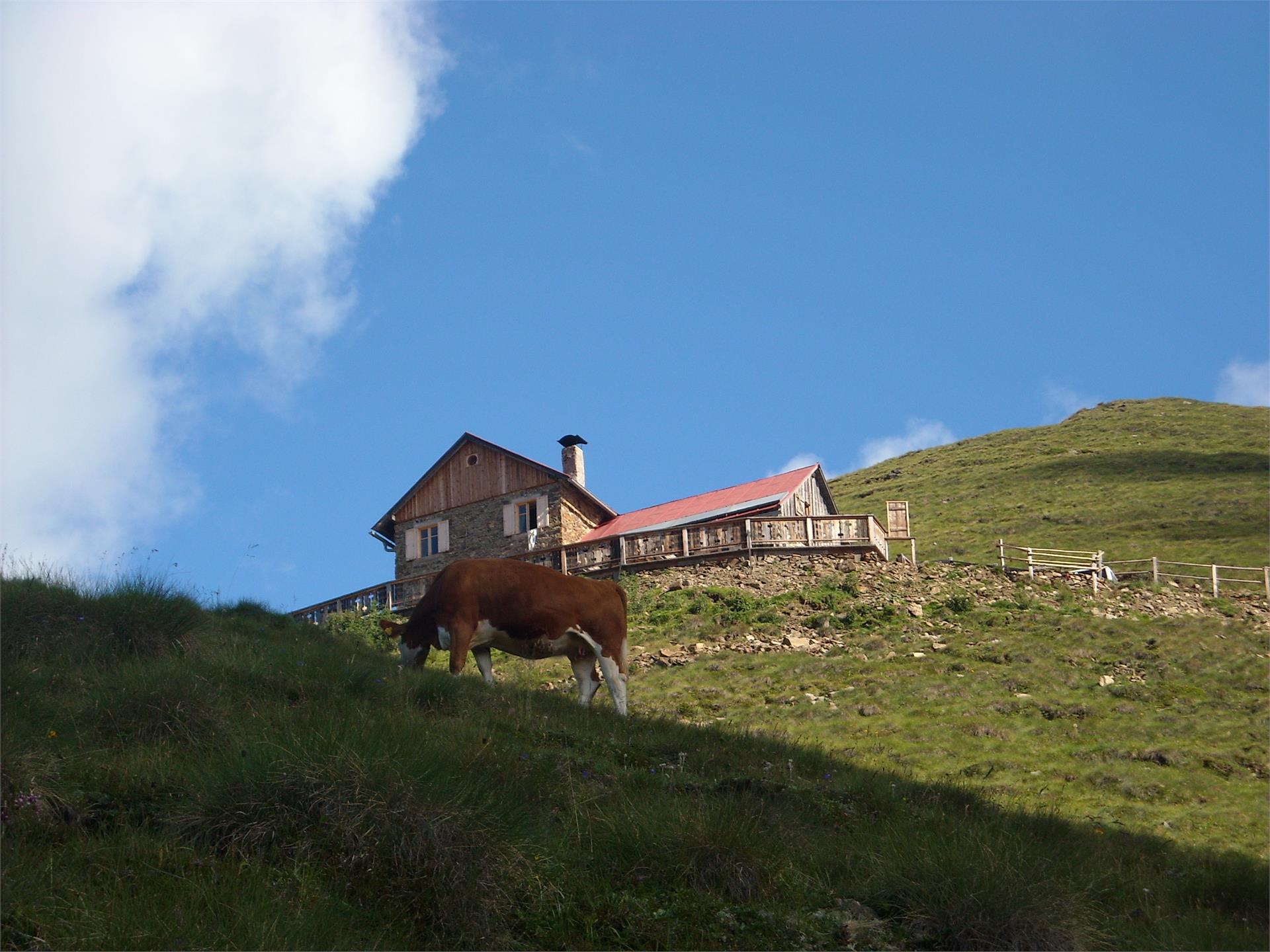 Rifugio Bonner Hütte 2340 m Valle di Casies 4 suedtirol.info