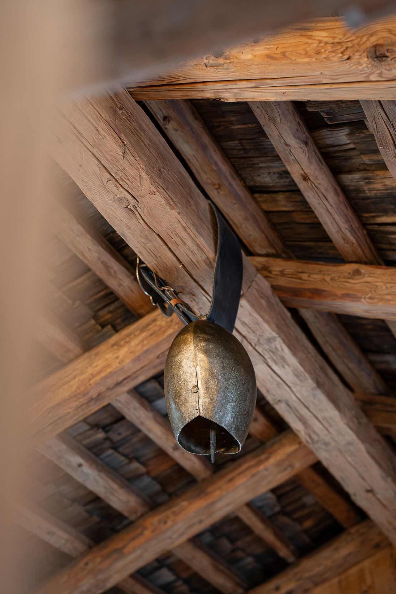 Schgaguler Schwaige - Dolomites Region Seiser Alm - #15 - suedtirol.info