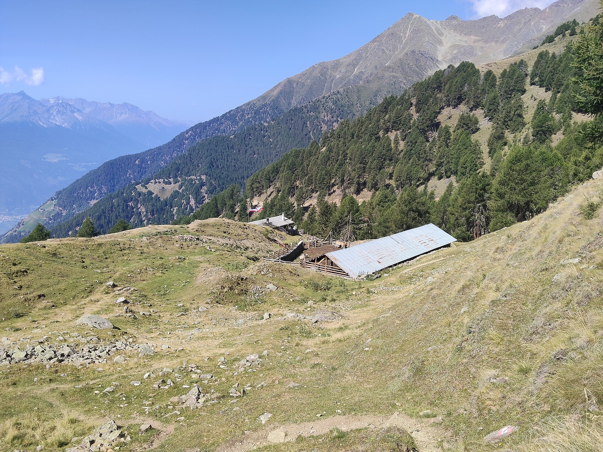 Stierbergalm - Vinschgau/Val Venosta - #3 - suedtirol.info