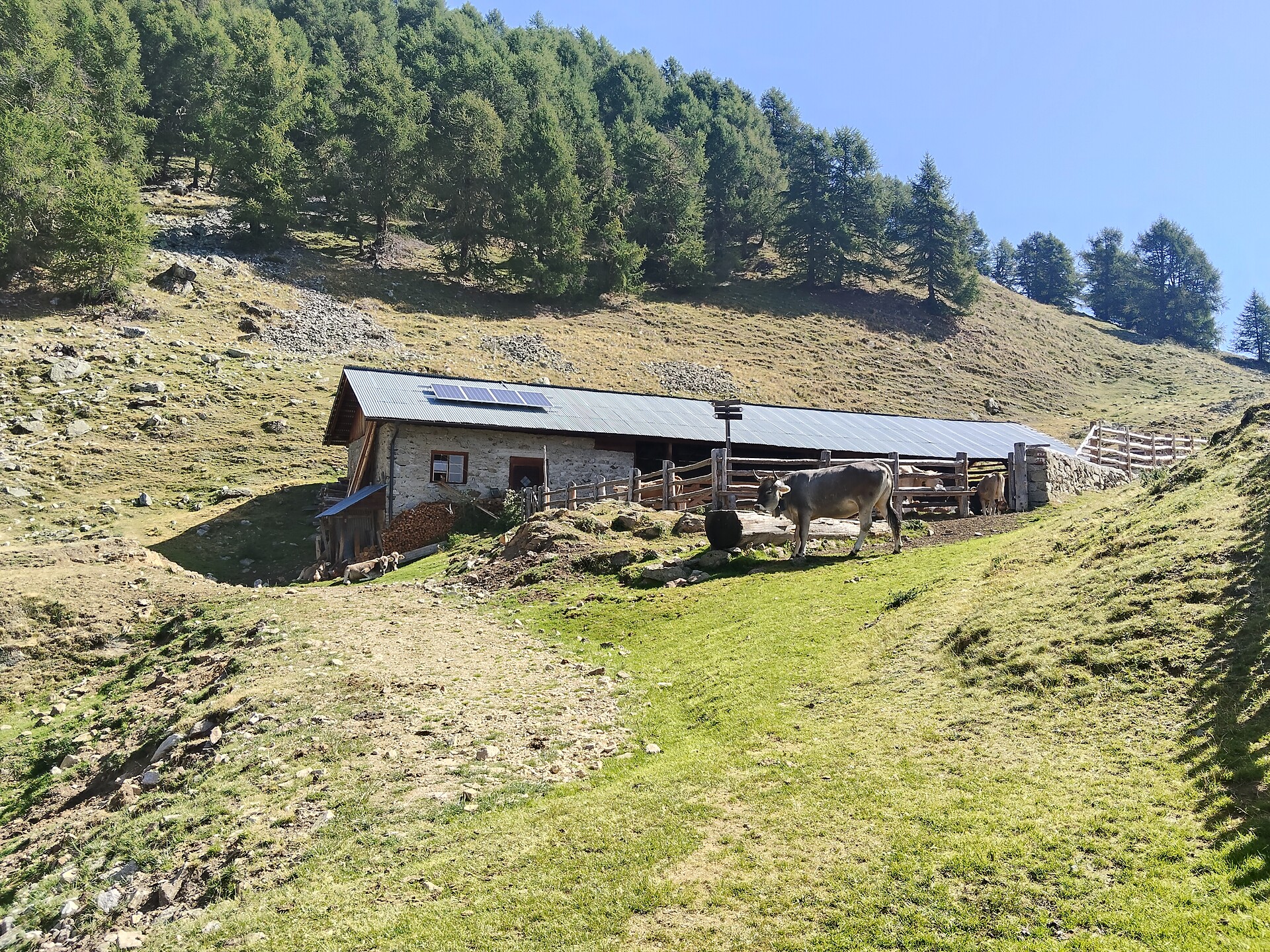 Stierbergalm - Vinschgau/Val Venosta - #7 - suedtirol.info