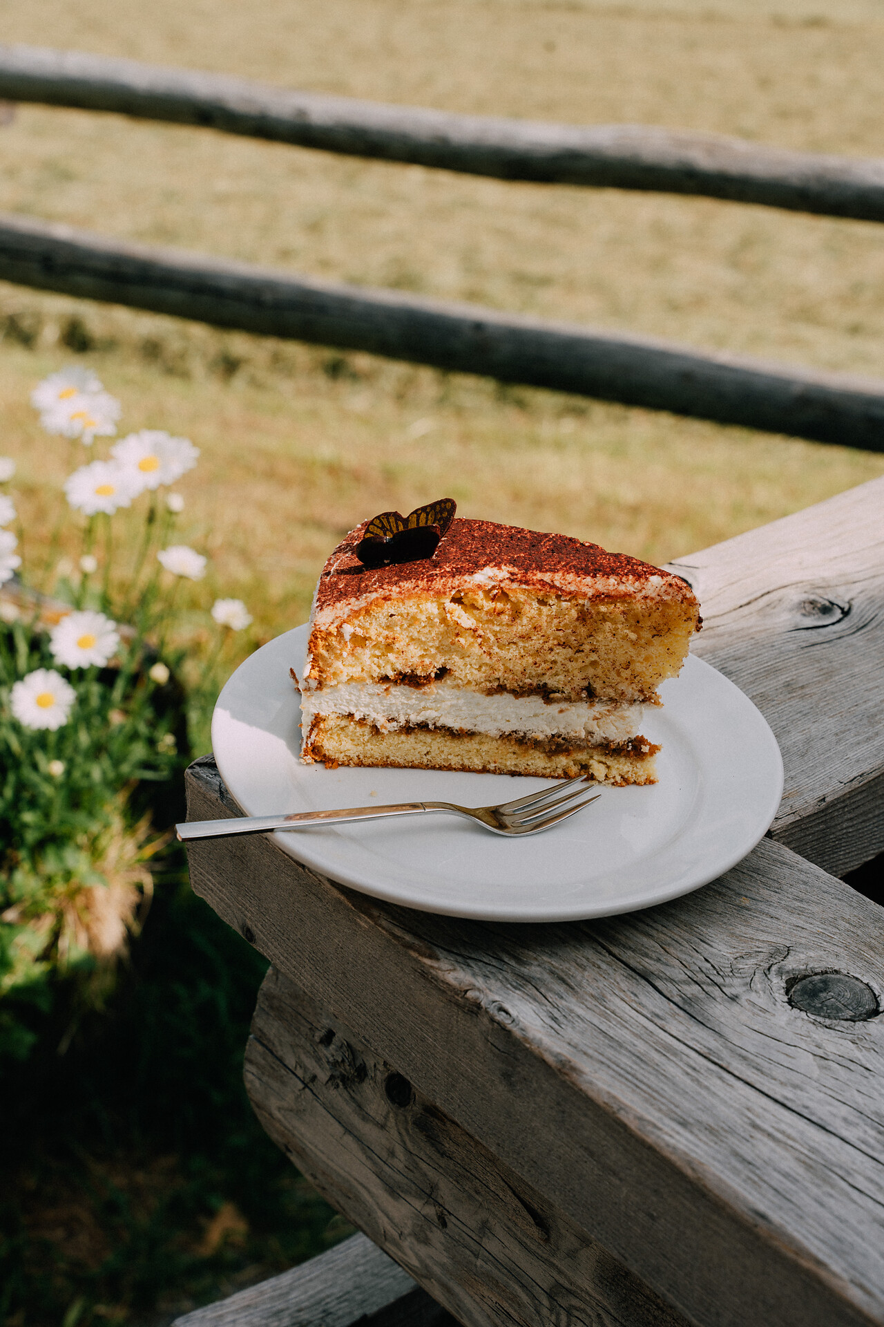 Cake
