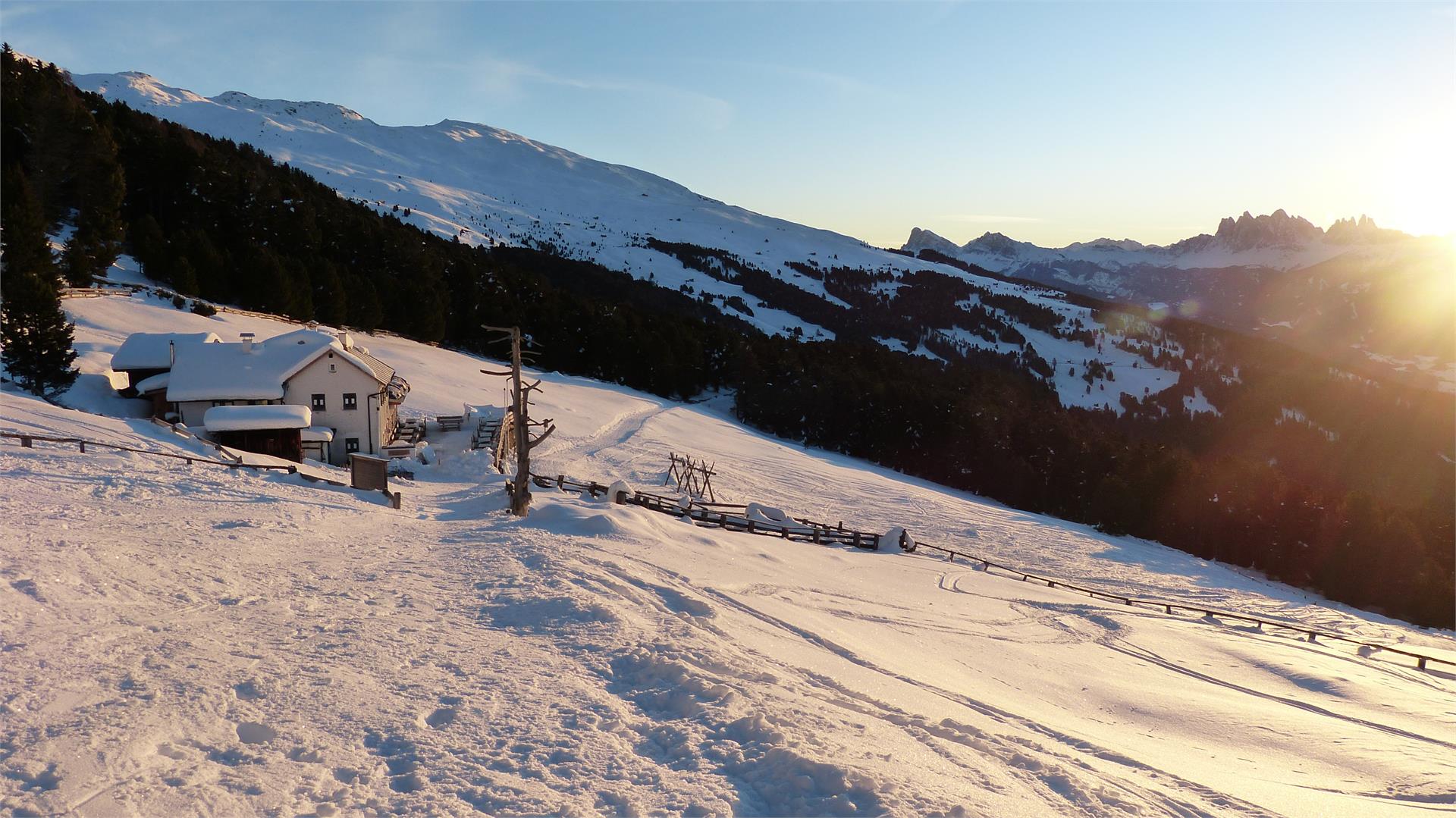 Schutzhütte Klausner Hütte Klausen 5 suedtirol.info