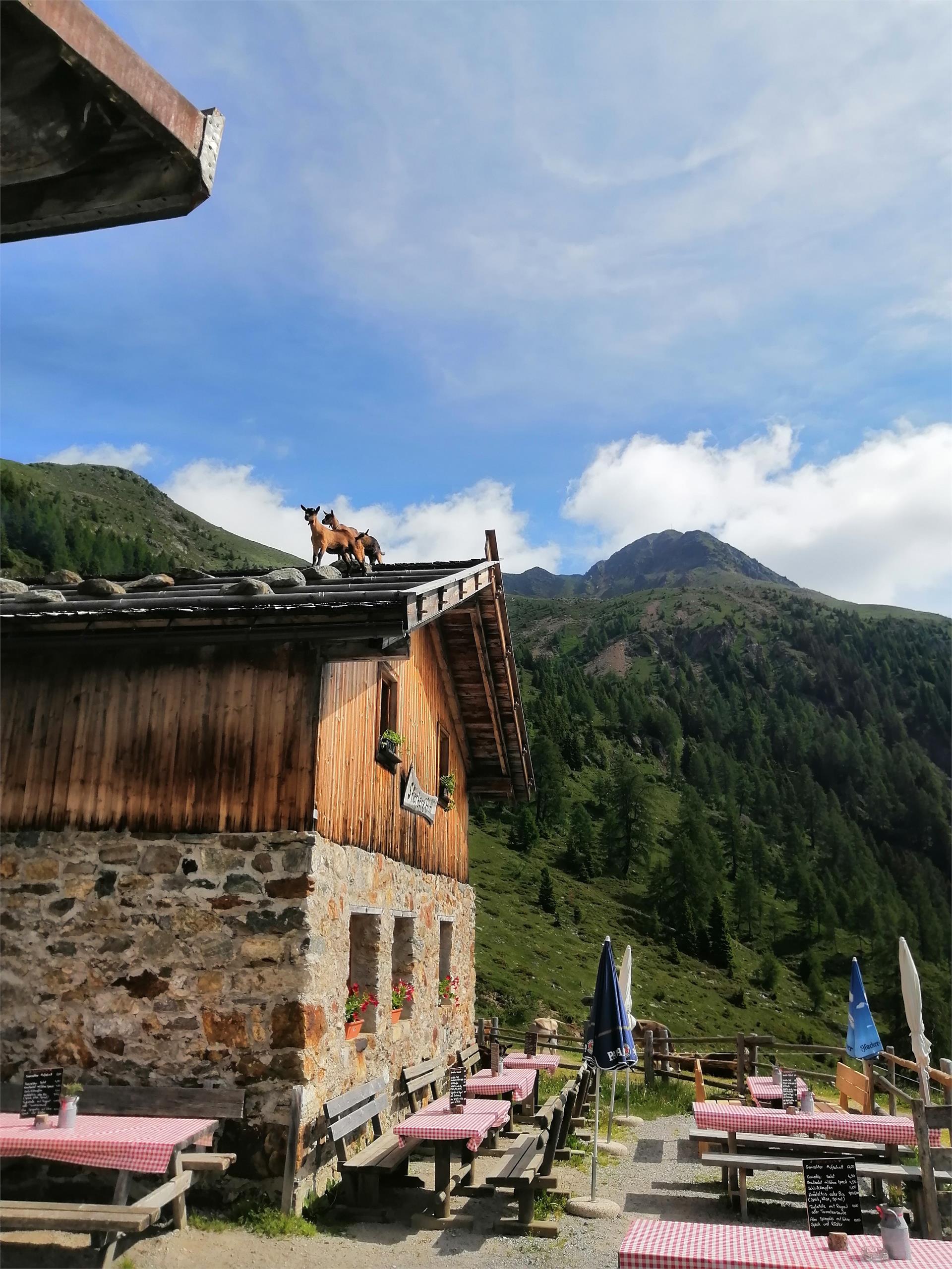 Stierberg Alm Proveis/Proves 3 suedtirol.info