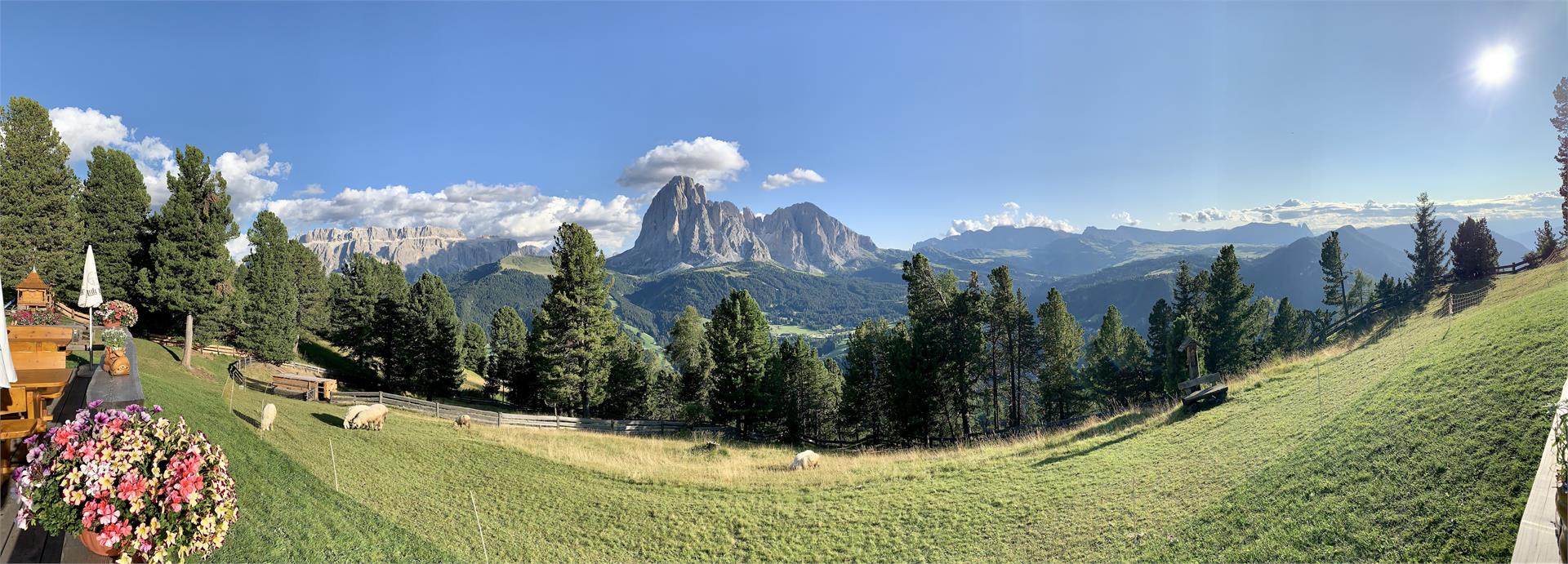 Sëurasas Schwaige St.Christina in Gröden 15 suedtirol.info