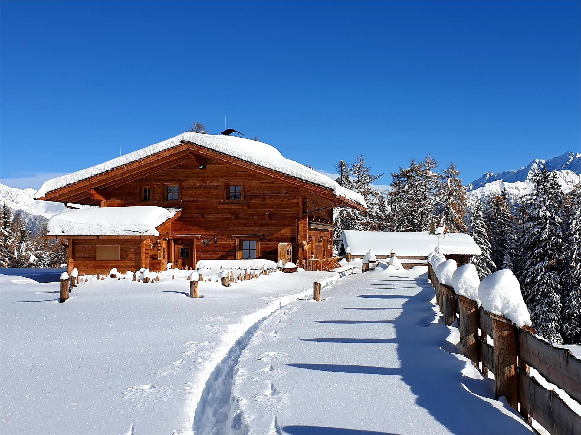 Schönbergalm hut Ahrntal/Valle Aurina 1 suedtirol.info
