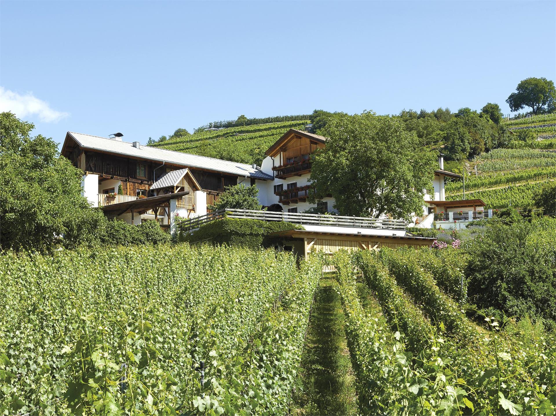 Strasserhof Vahrn/Varna 1 suedtirol.info