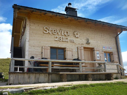 Baita Stevia Selva 2 suedtirol.info