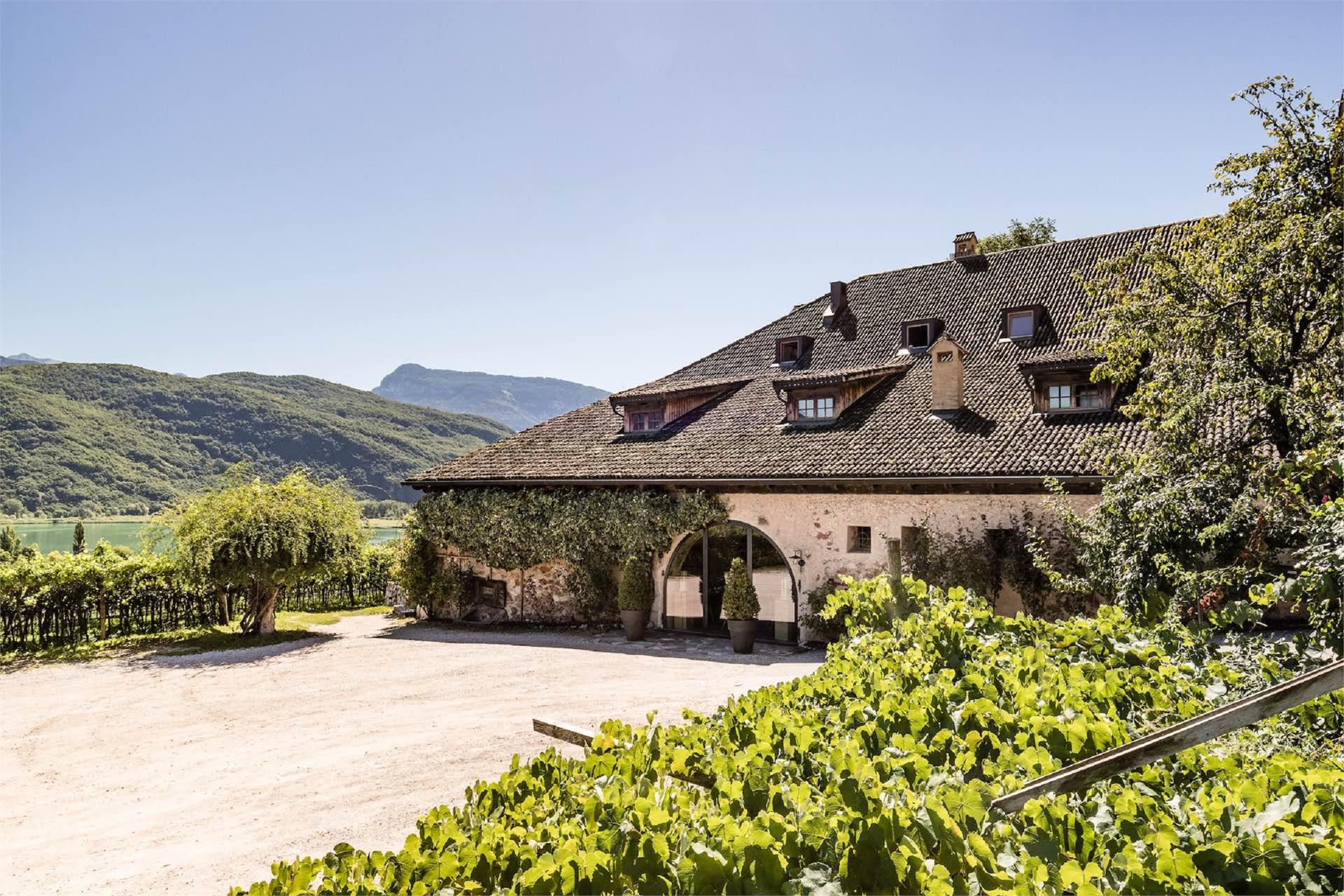 Seehofkeller Kaltern an der Weinstraße/Caldaro sulla Strada del Vino 2 suedtirol.info