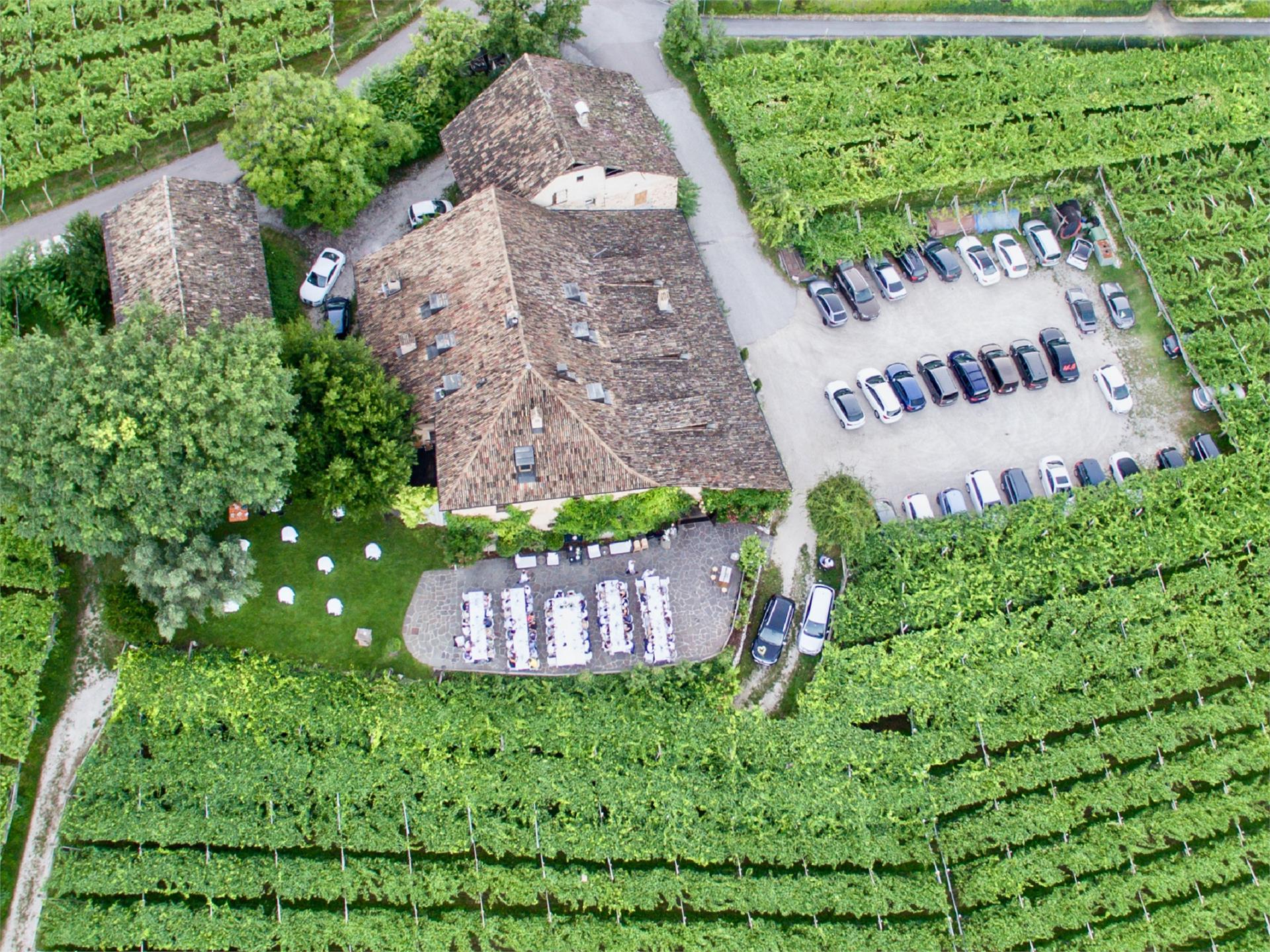 Seehofkeller Kaltern an der Weinstraße/Caldaro sulla Strada del Vino 5 suedtirol.info