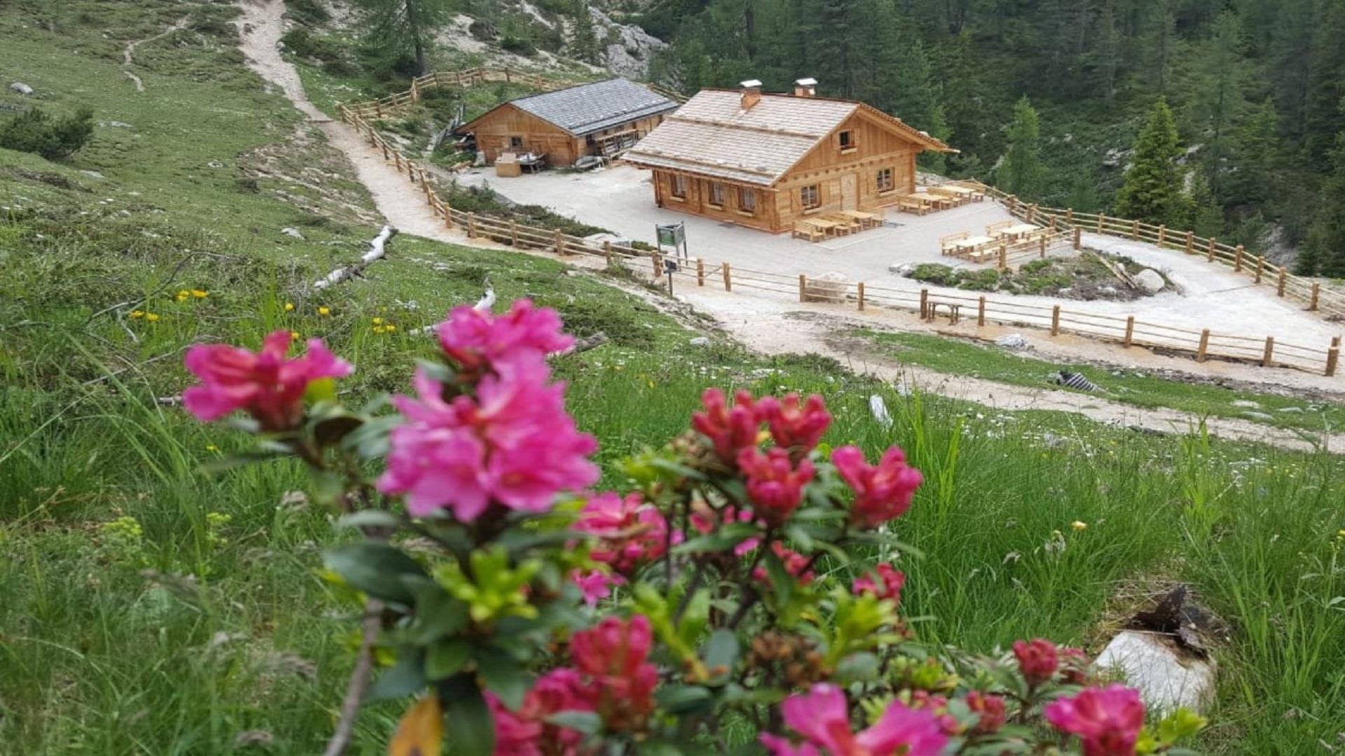 Malga Stolla Braies 2 suedtirol.info
