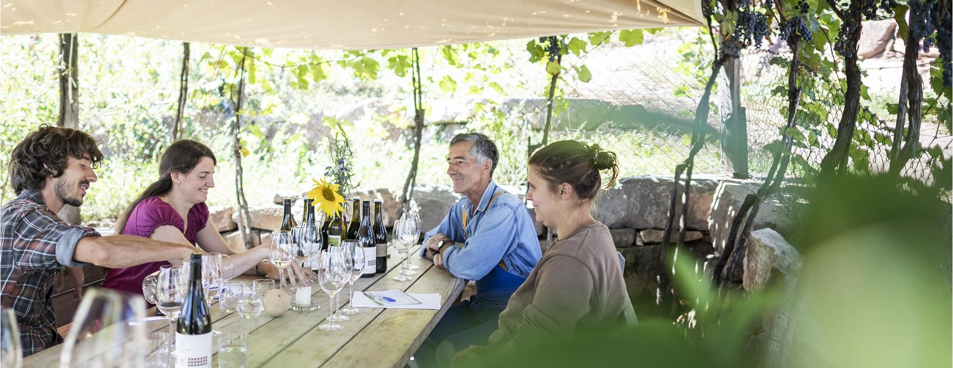 Thomas Niedermayr Hof Gandberg Eppan an der Weinstaße/Appiano sulla Strada del Vino 1 suedtirol.info