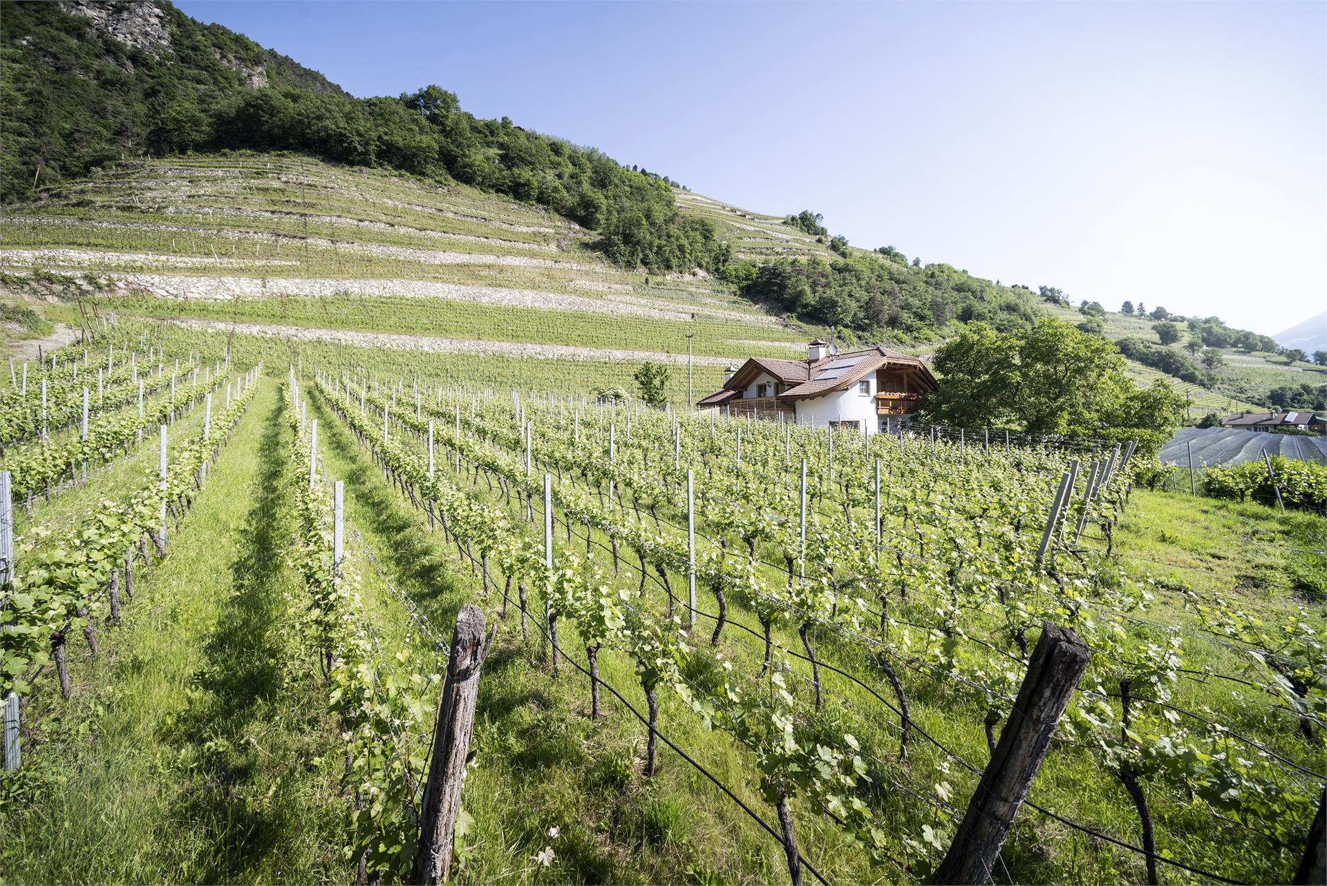 Taschlerhof Brixen/Bressanone 3 suedtirol.info