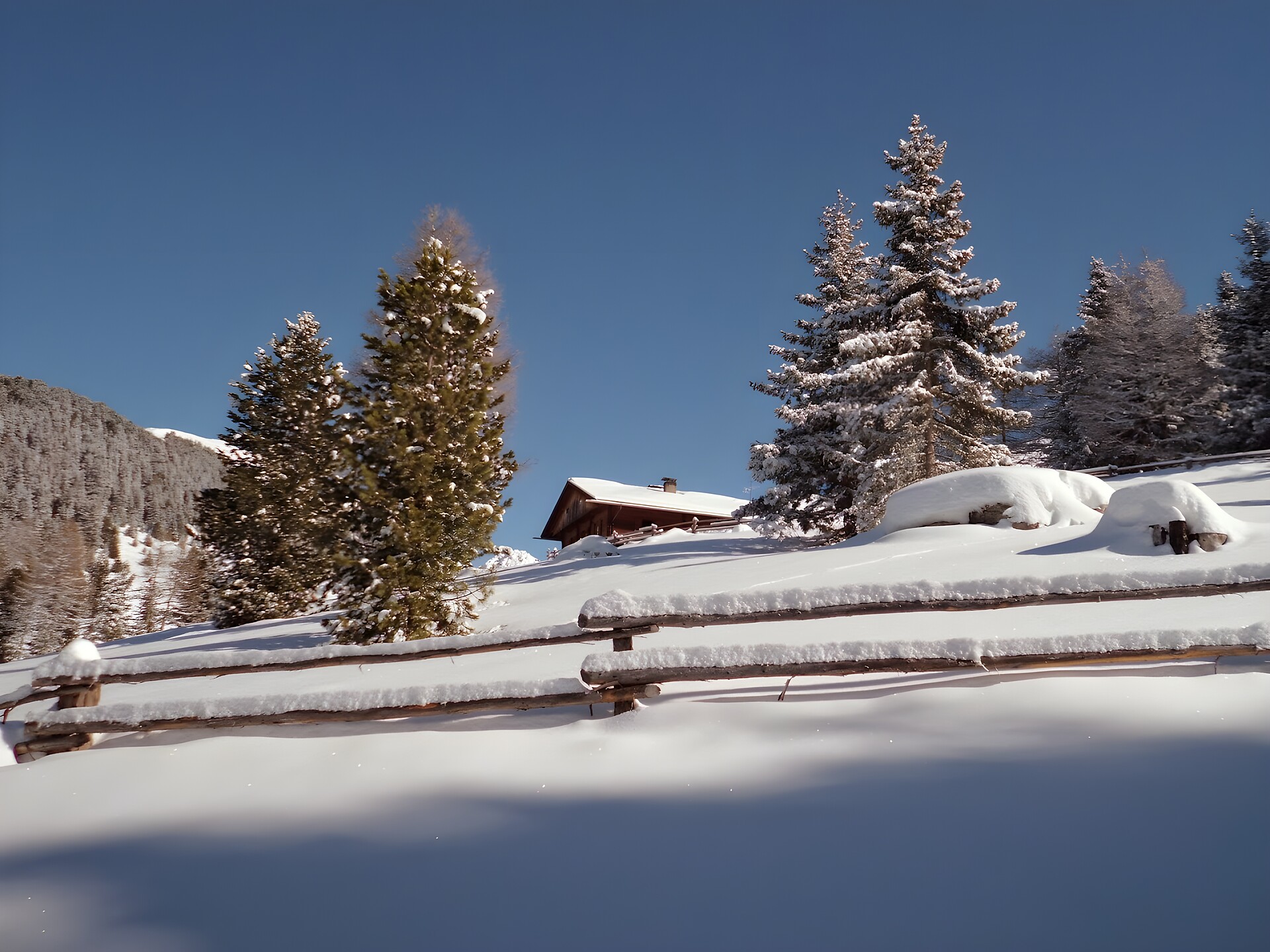 Taistner Alm 2012 m -  - #2 - suedtirol.info