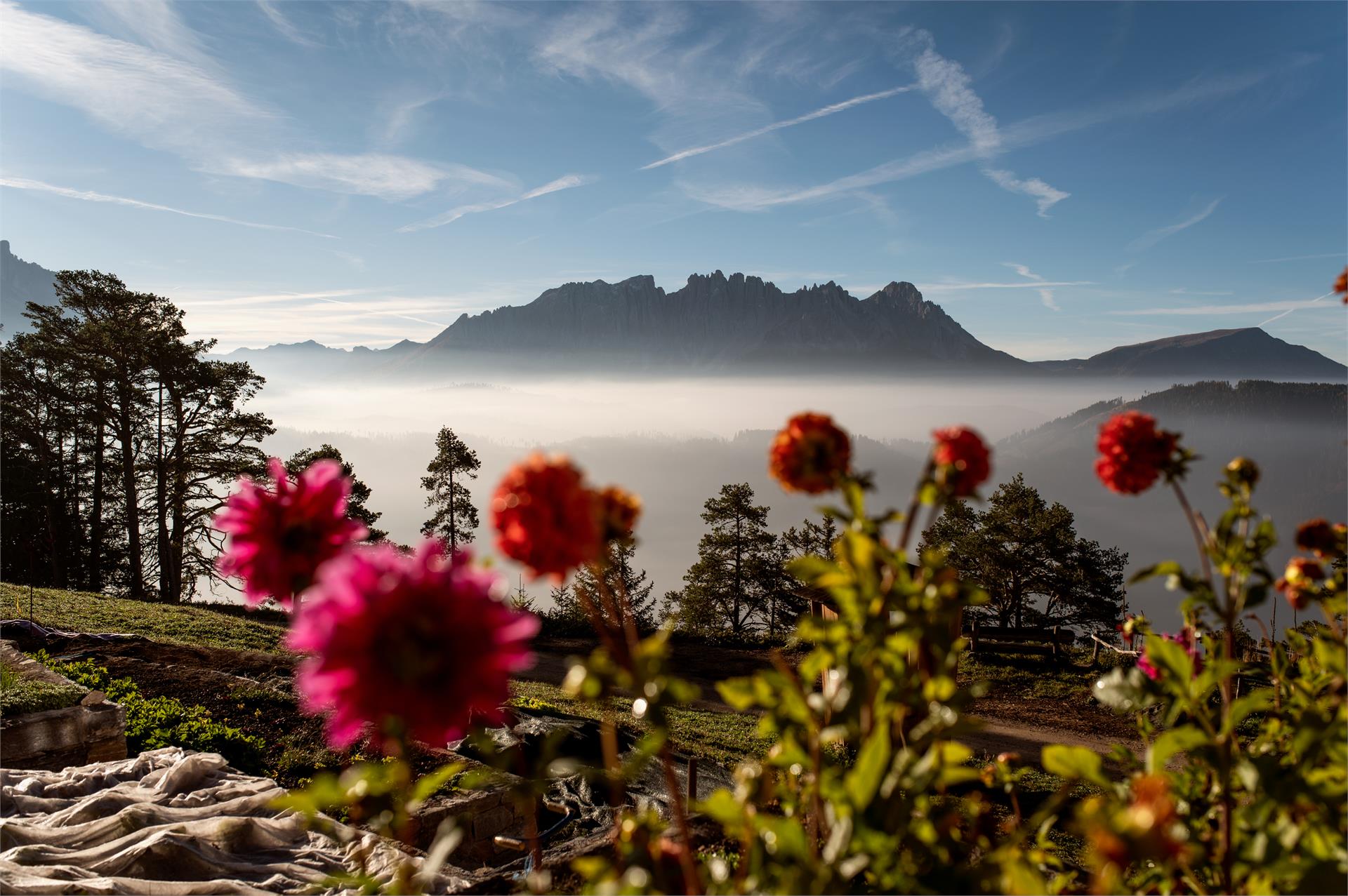 Tschafonhütte Tiers am Rosengarten/Tires al Catinaccio 5 suedtirol.info